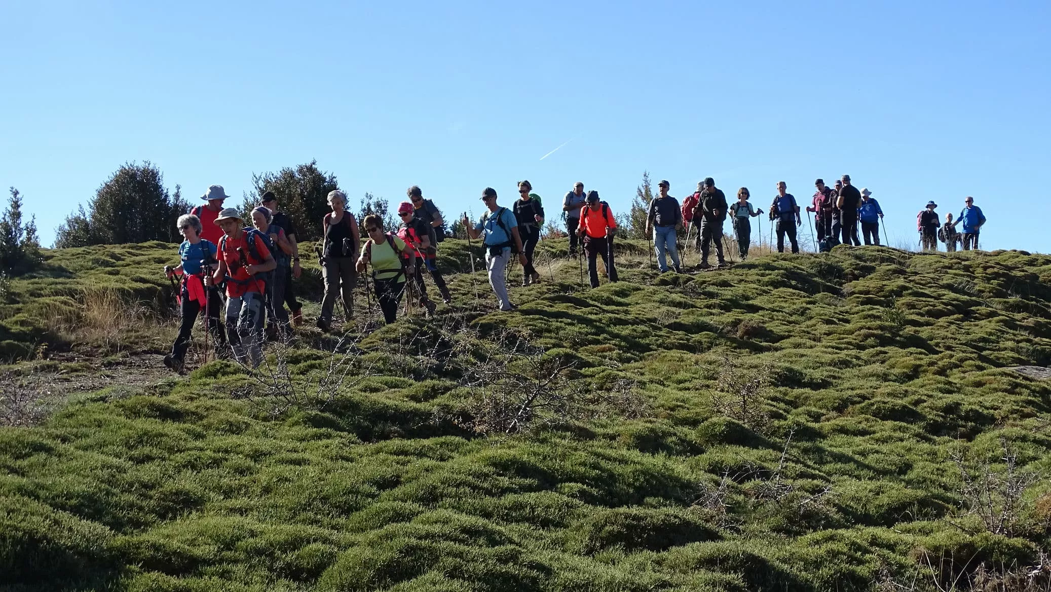 Zona alta de Valle Bail.