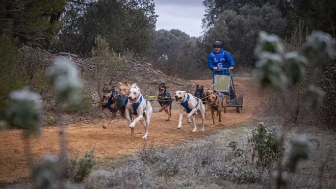 El binefarense Pedro Más, en acción. El binefarense Pedro Más, en acción.