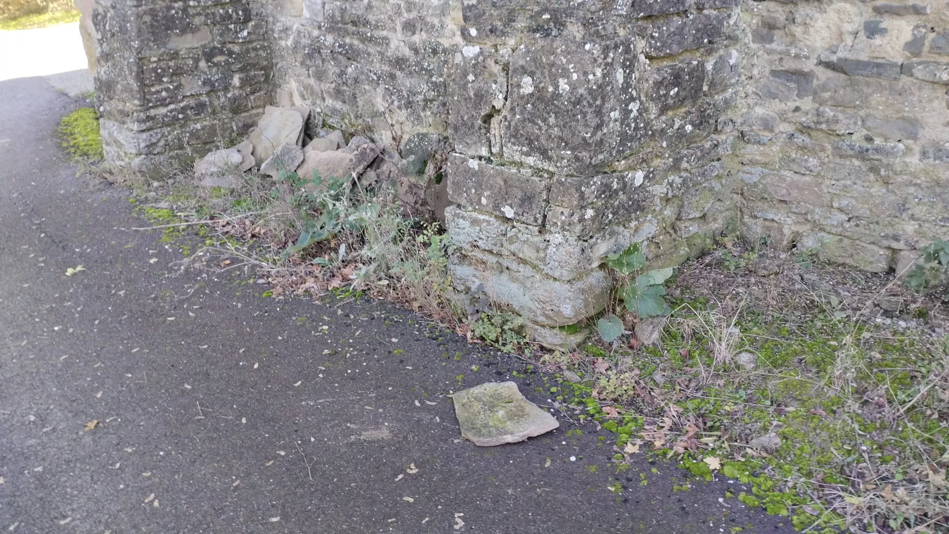 Estado de la iglesia de Orante