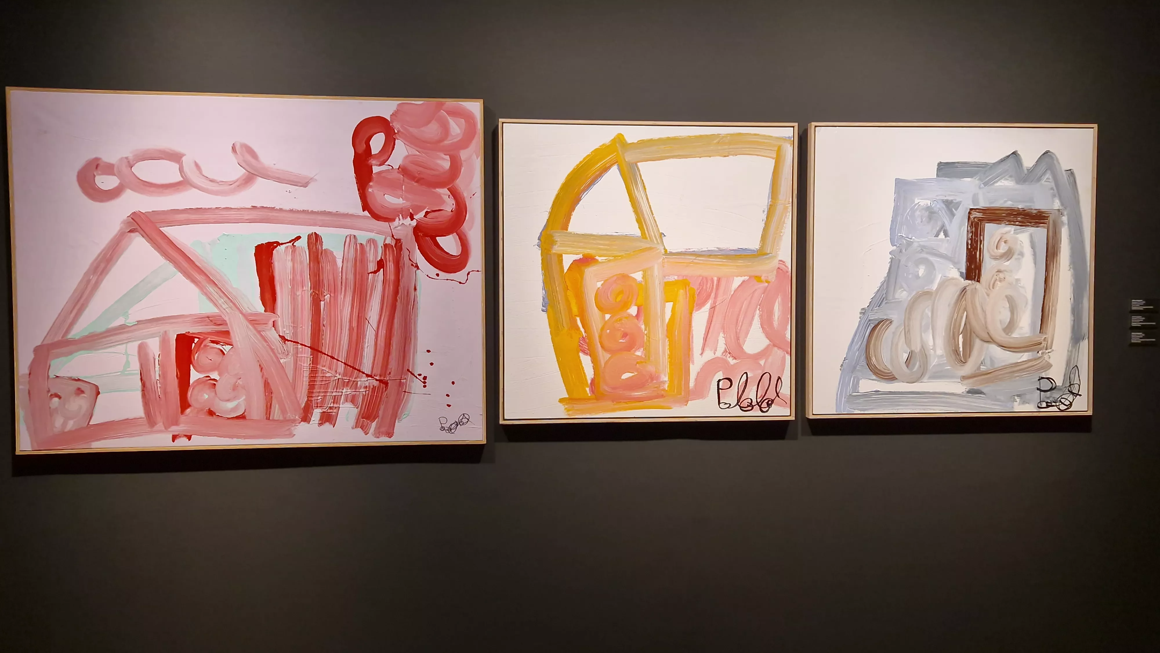 Exposición del Grupo ZheBRA en la DPH. Foto Myriam Martínez