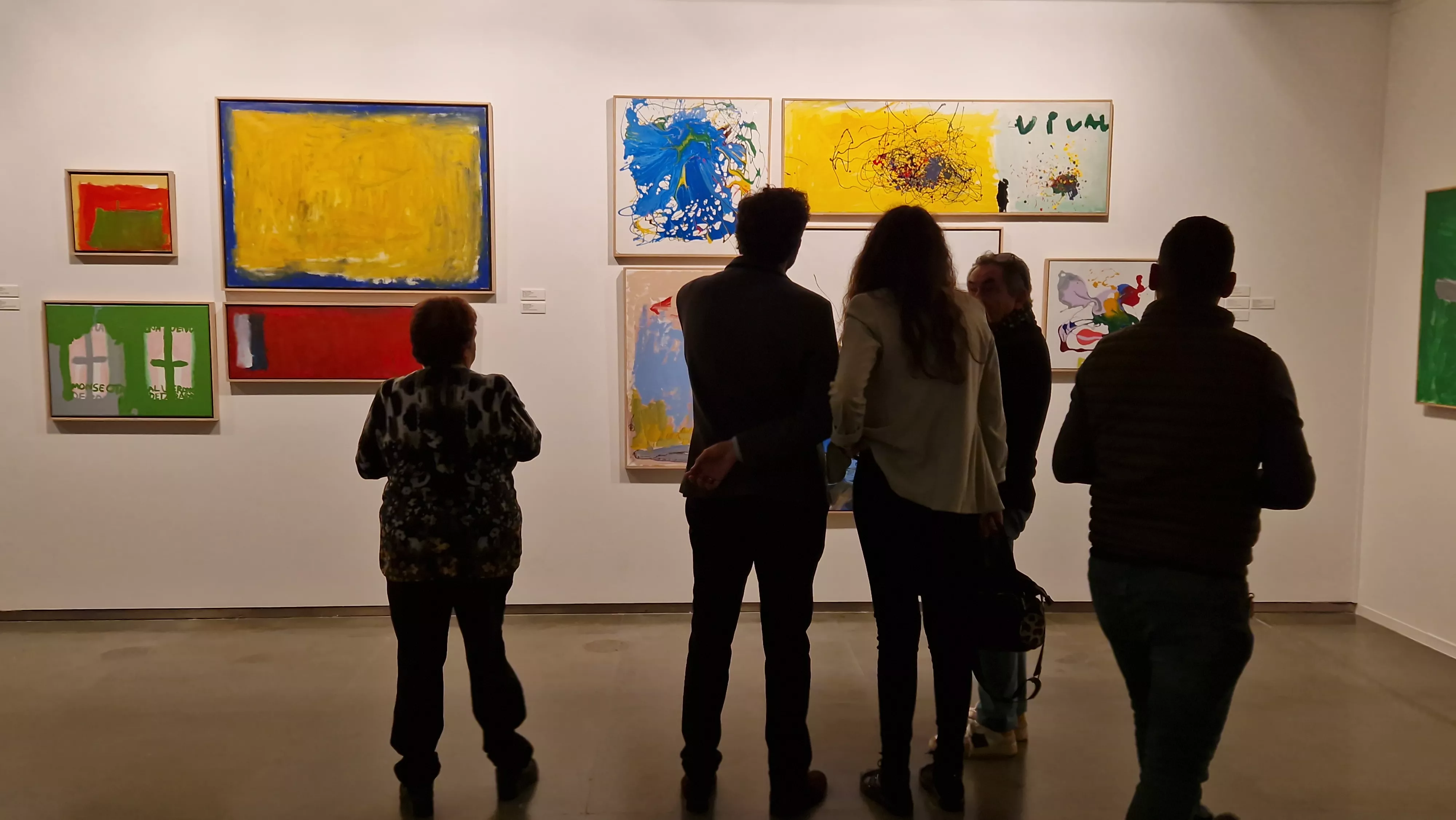 Exposición del Grupo ZheBRA en la DPH. Foto Myriam Martínez