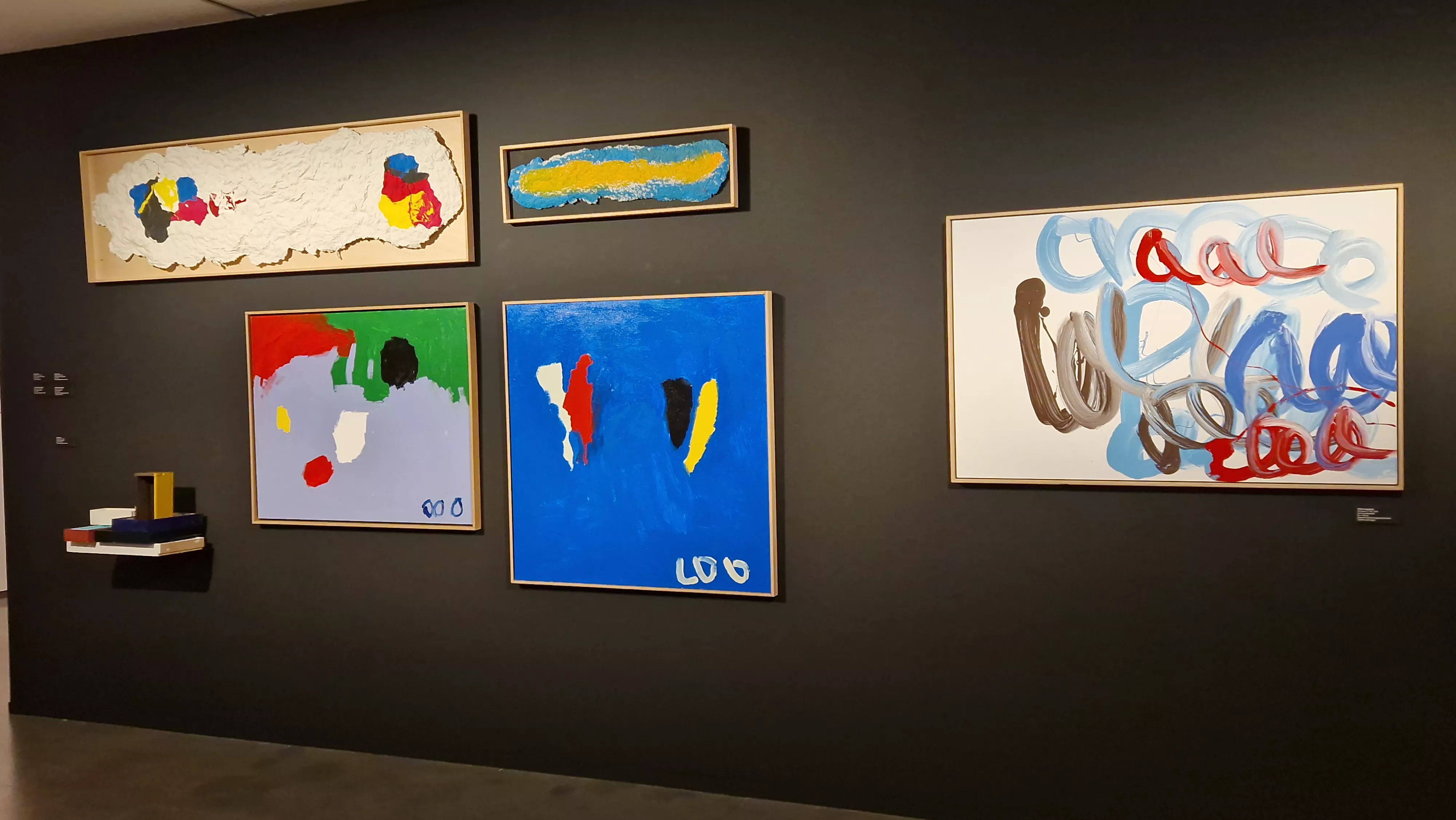 Exposición del Grupo ZheBRA en la DPH. Foto Myriam Martínez