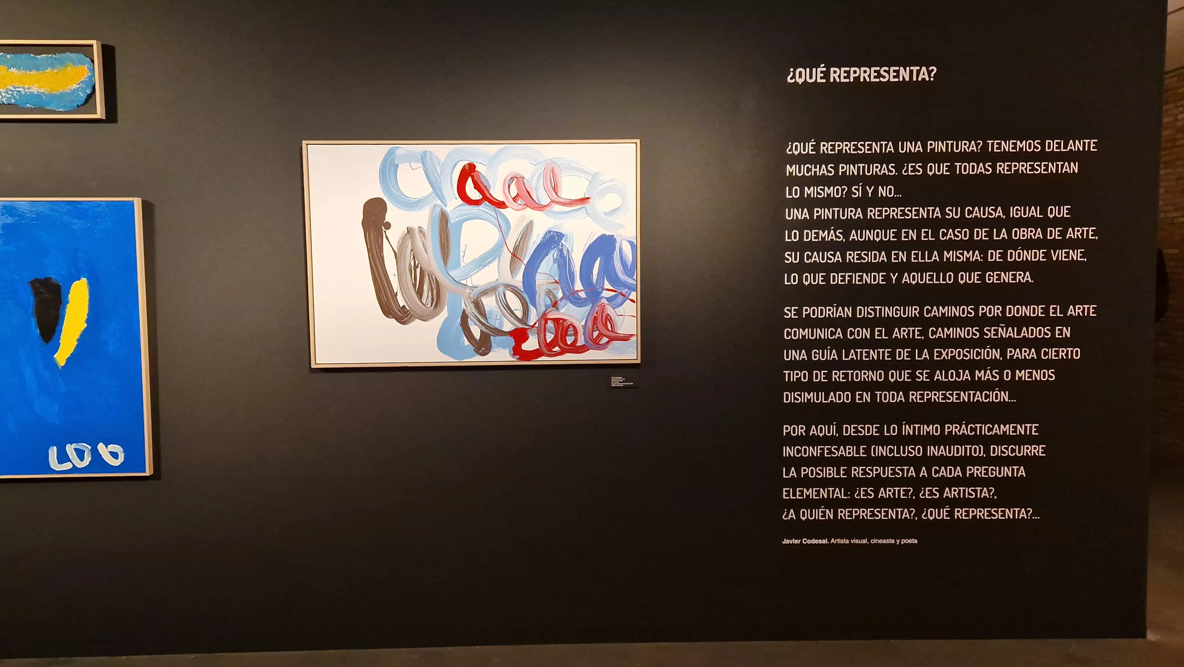 Exposición del Grupo ZheBRA en la DPH. Foto Myriam Martínez