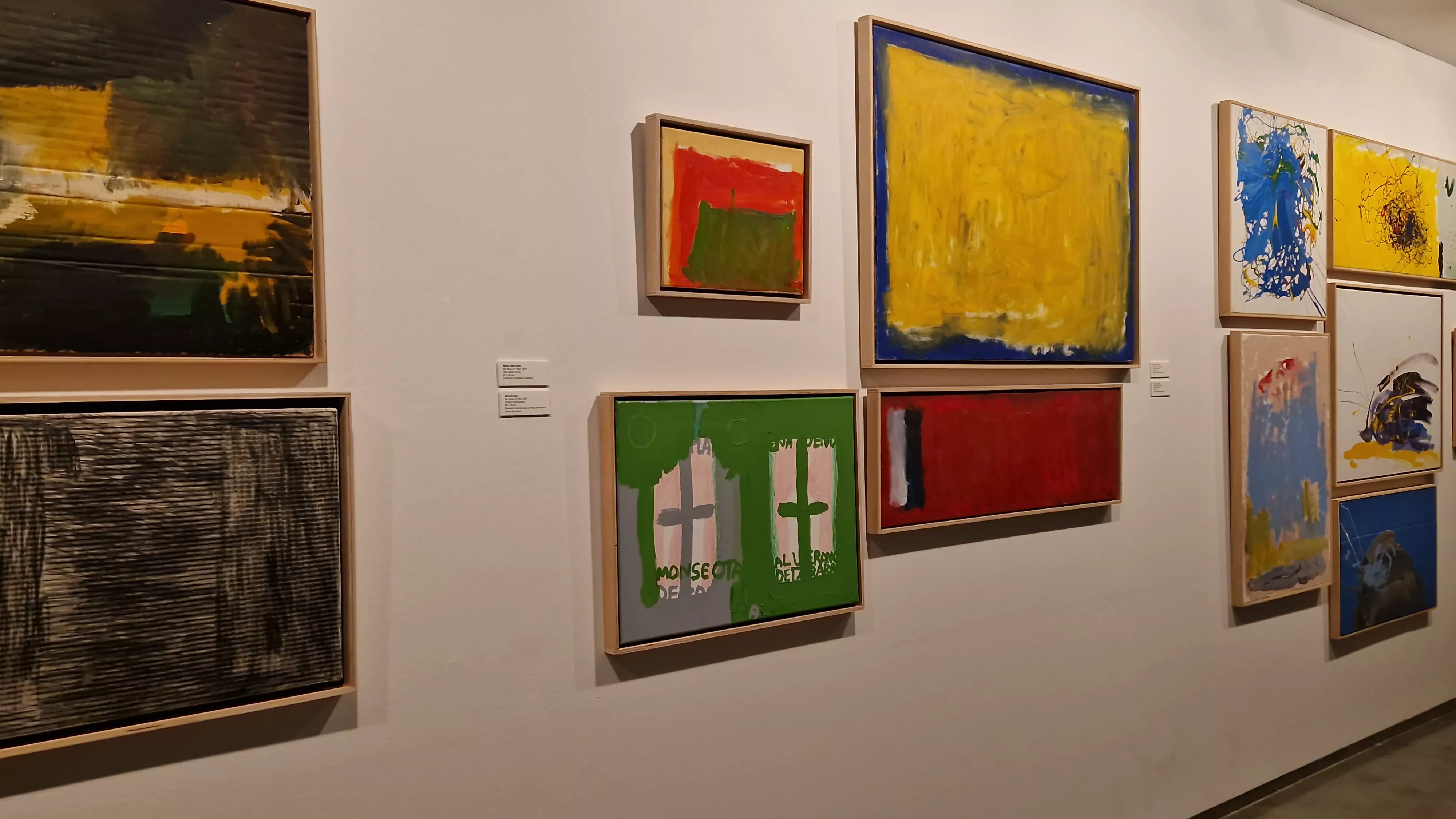 Exposición del Grupo ZheBRA en la DPH. Foto Myriam Martínez