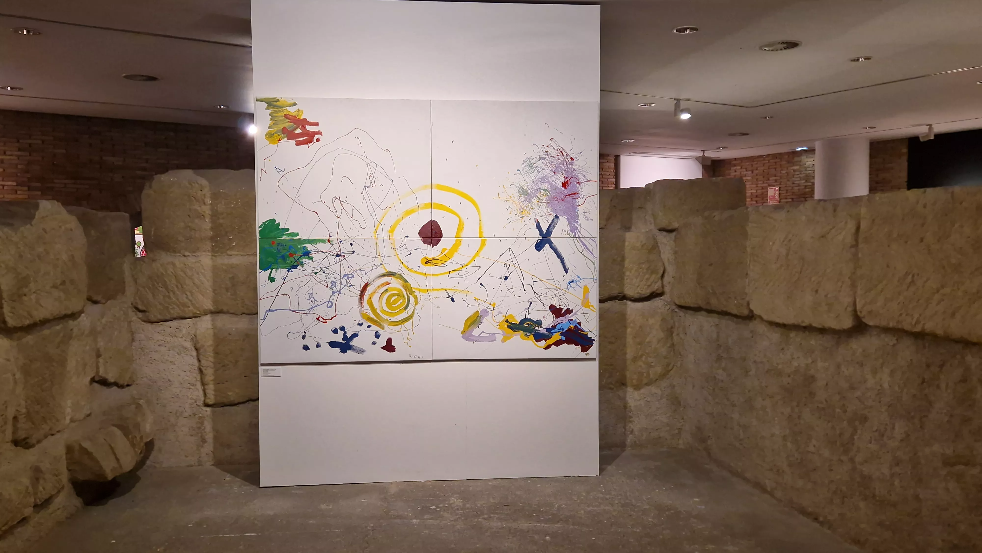 Exposición del Grupo ZheBRA en la DPH. Foto Myriam Martínez