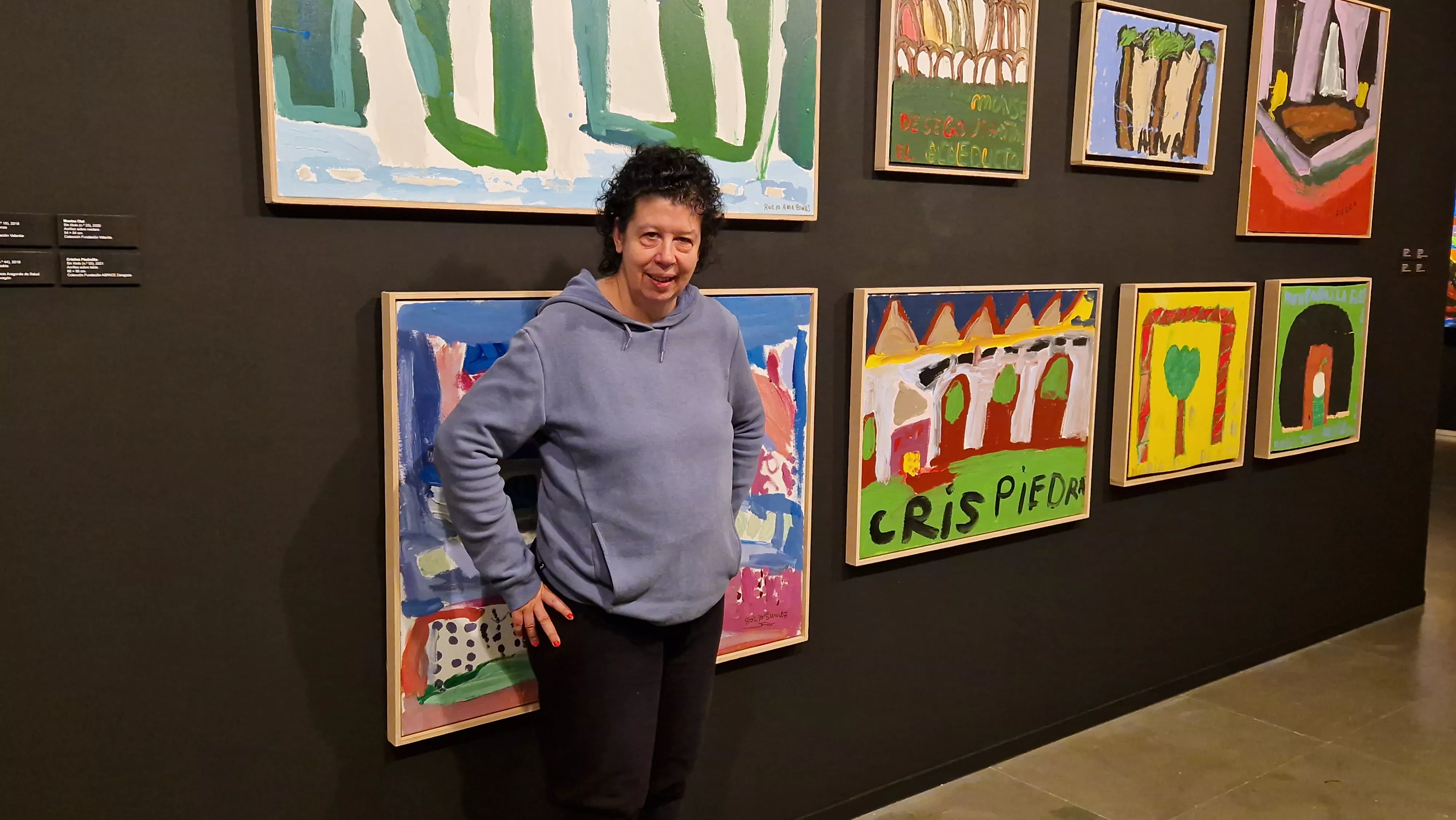 Rocío Suárez. Exposición del Grupo ZheBRA en la DPH. Foto Myriam Martínez