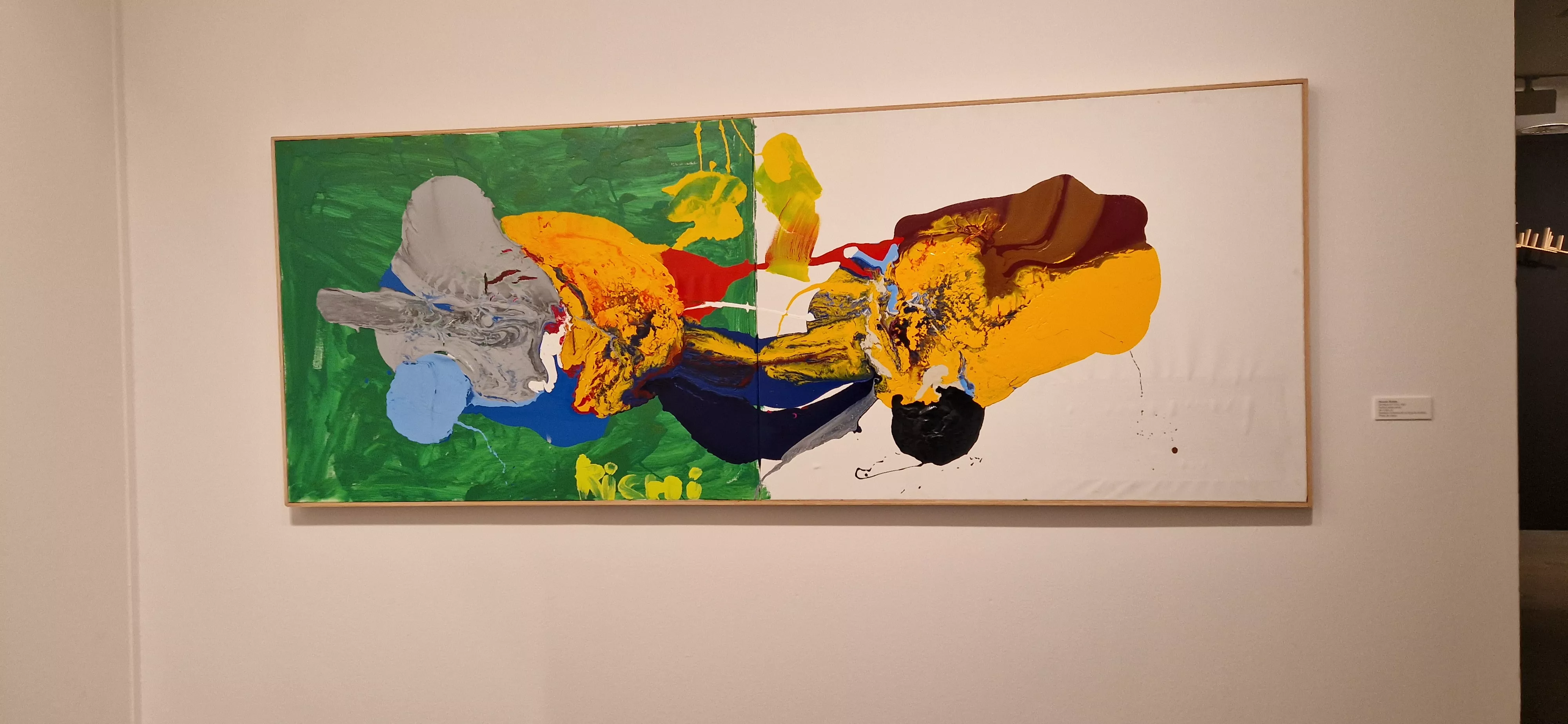 Exposición del Grupo ZheBRA en la DPH. Foto Myriam Martínez