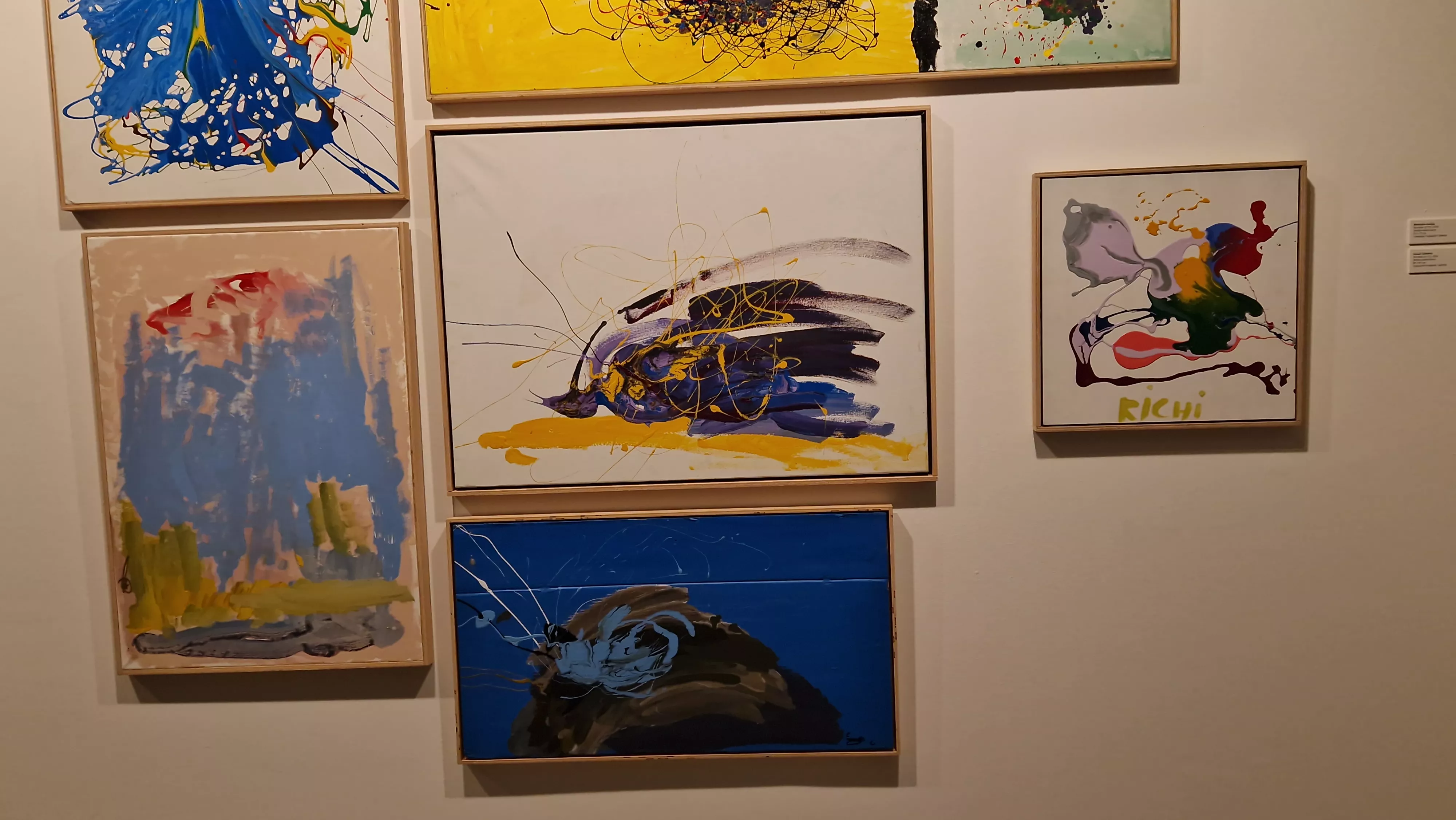 Exposición del Grupo ZheBRA en la DPH. Foto Myriam Martínez