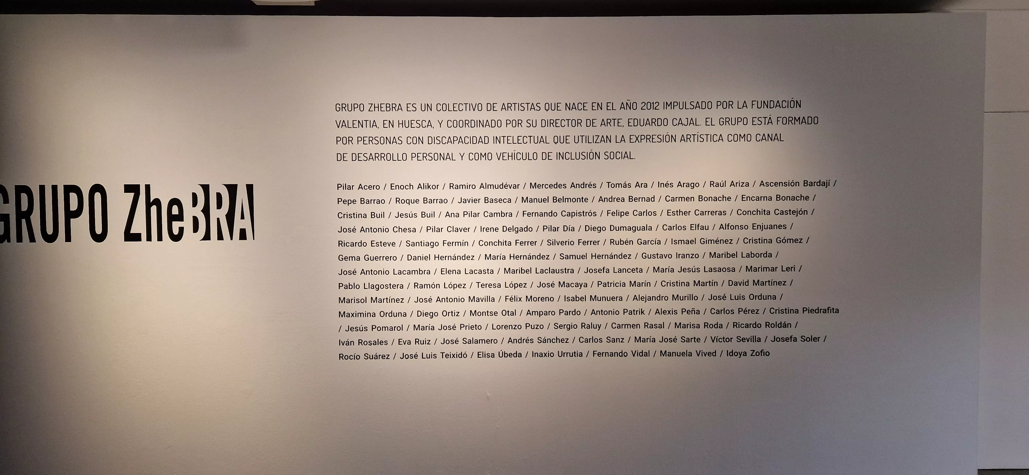 Exposición del Grupo ZheBRA en la DPH. Foto Myriam Martínez