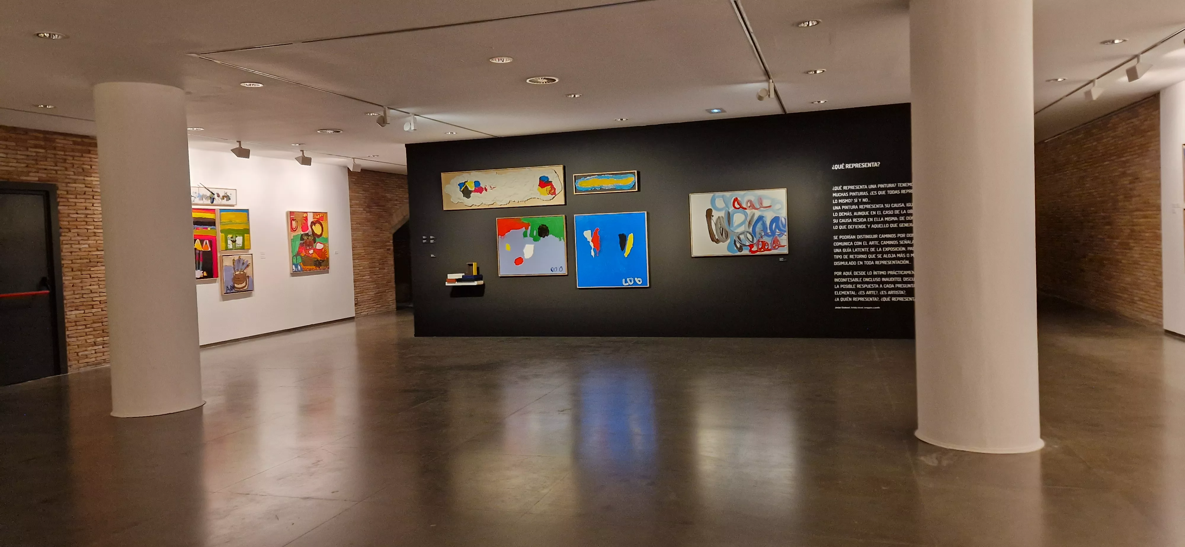 Inauguración de la exposición del Grupo ZheBRA en la DPH. Foto Myriam Martínez