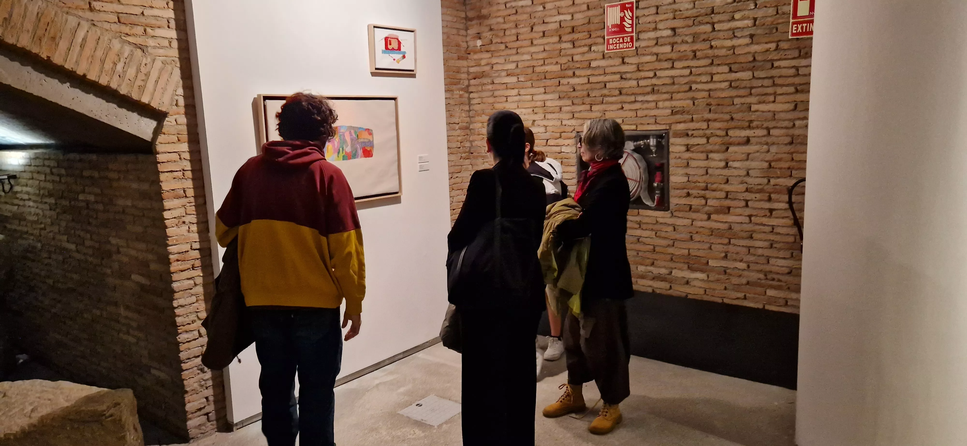 Inauguración de la exposición del Grupo ZheBRA en la DPH. Foto Myriam Martínez