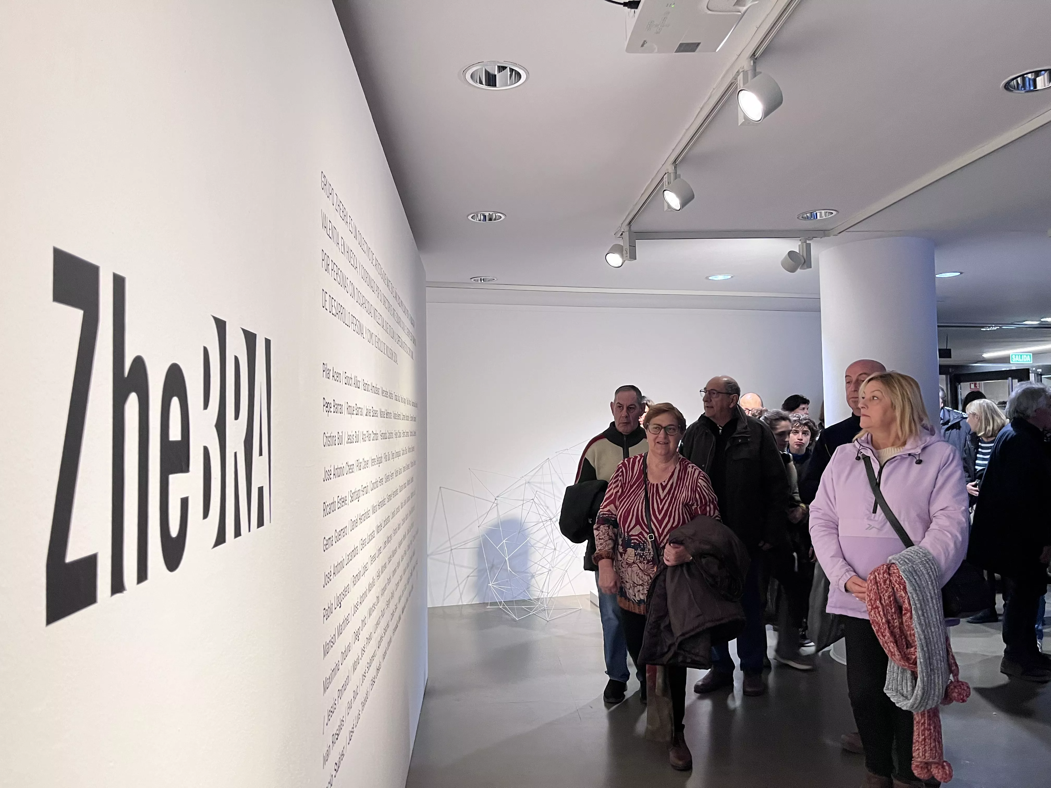 Exposición del Grupo ZheBRA en la DPH. Foto Mercedes Manterola