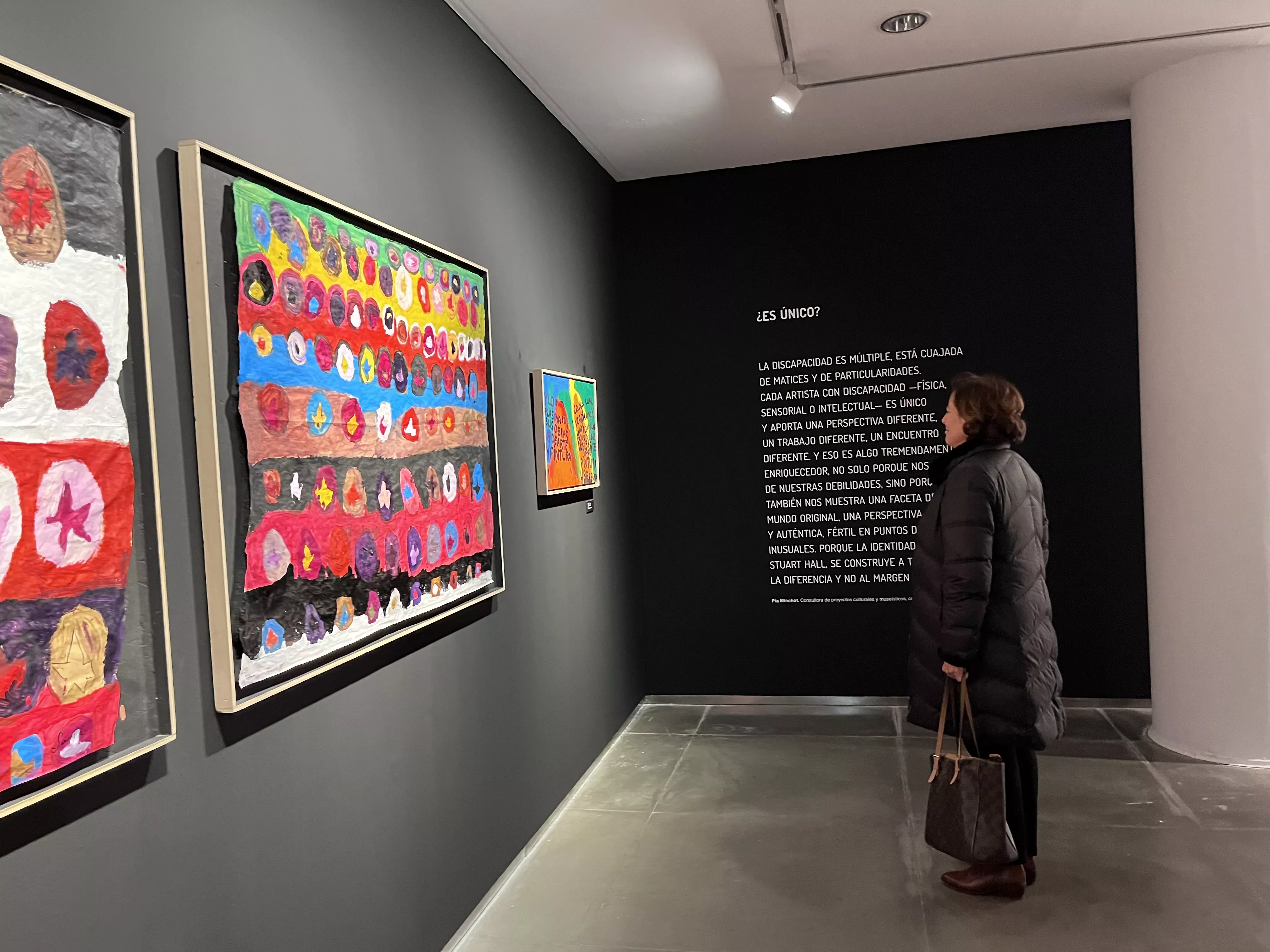 Exposición del Grupo ZheBRA en la DPH. Foto Mercedes Manterola