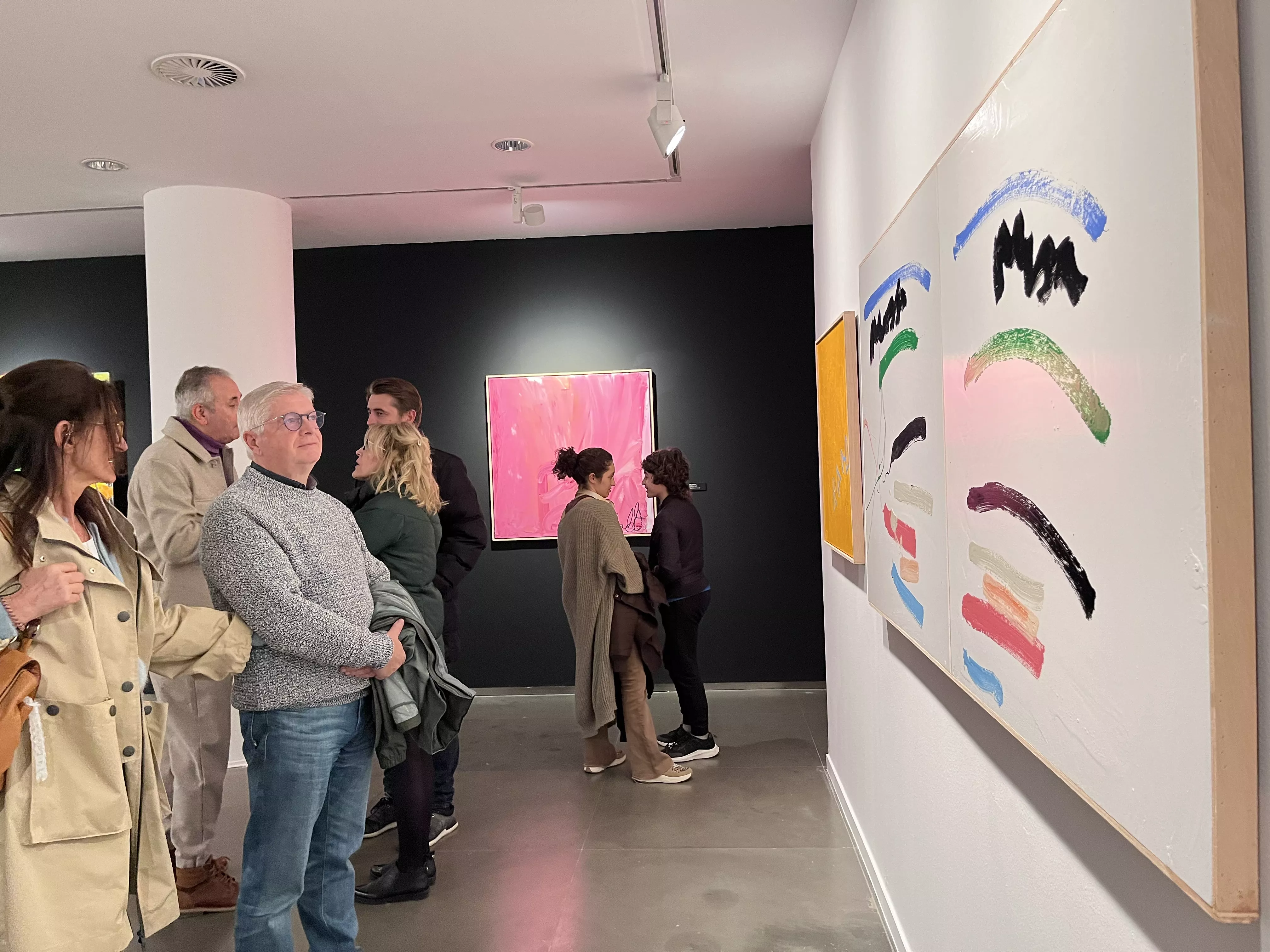 Exposición del Grupo ZheBRA en la DPH. Foto Mercedes Manterola