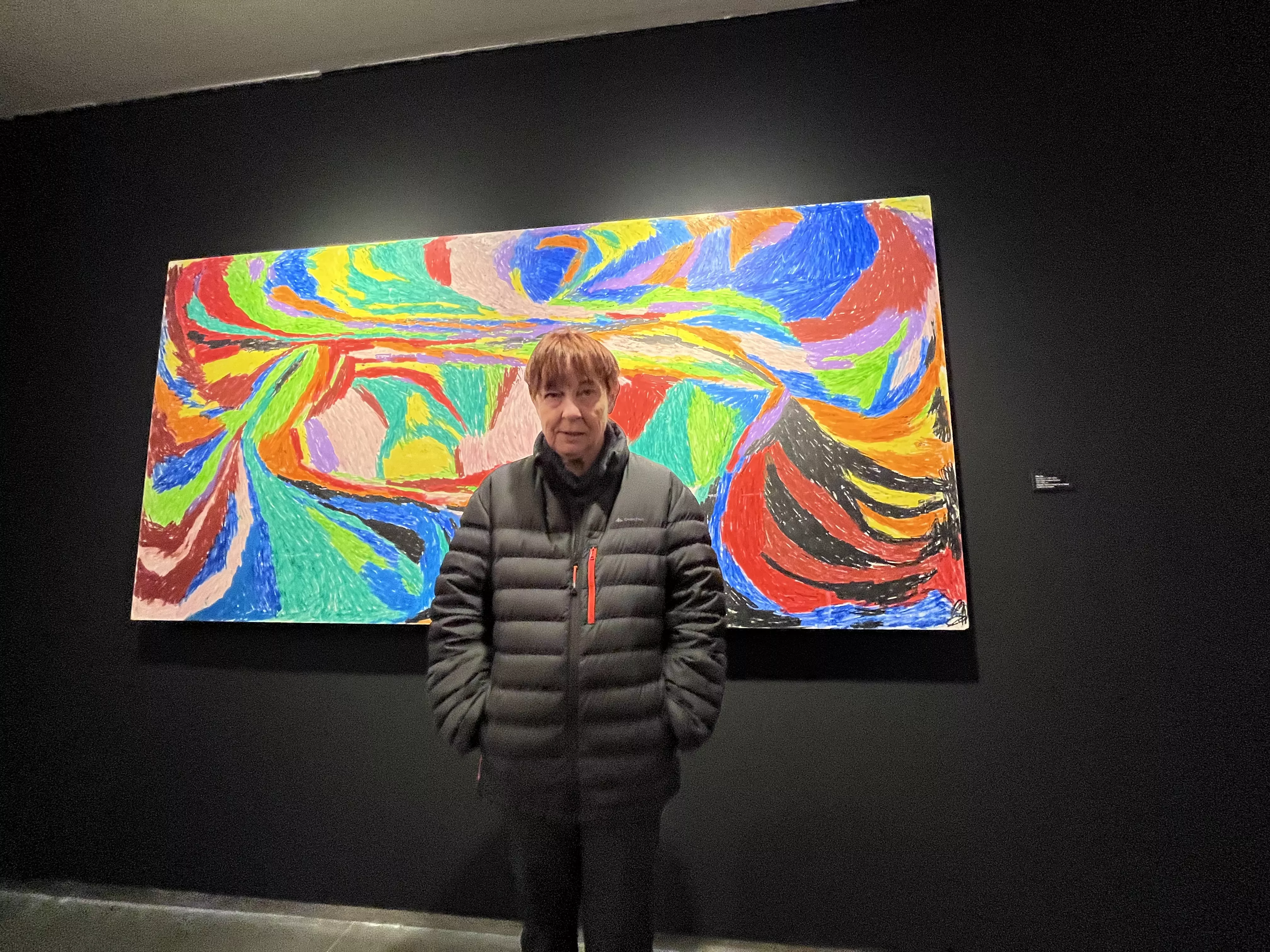 Exposición del Grupo ZheBRA en la DPH. Foto Mercedes Manterola