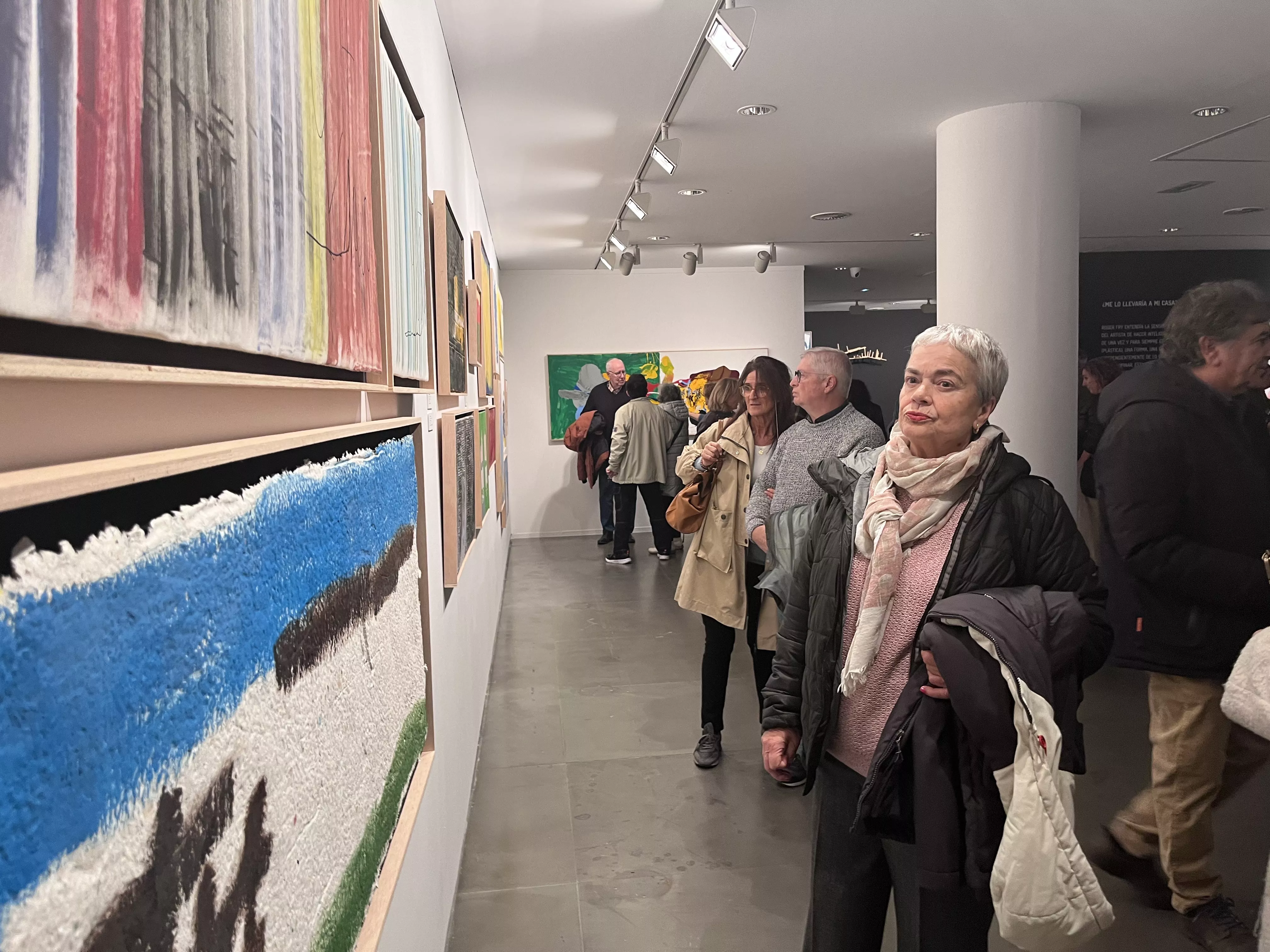 Exposición del Grupo ZheBRA en la DPH. Foto Mercedes Manterola