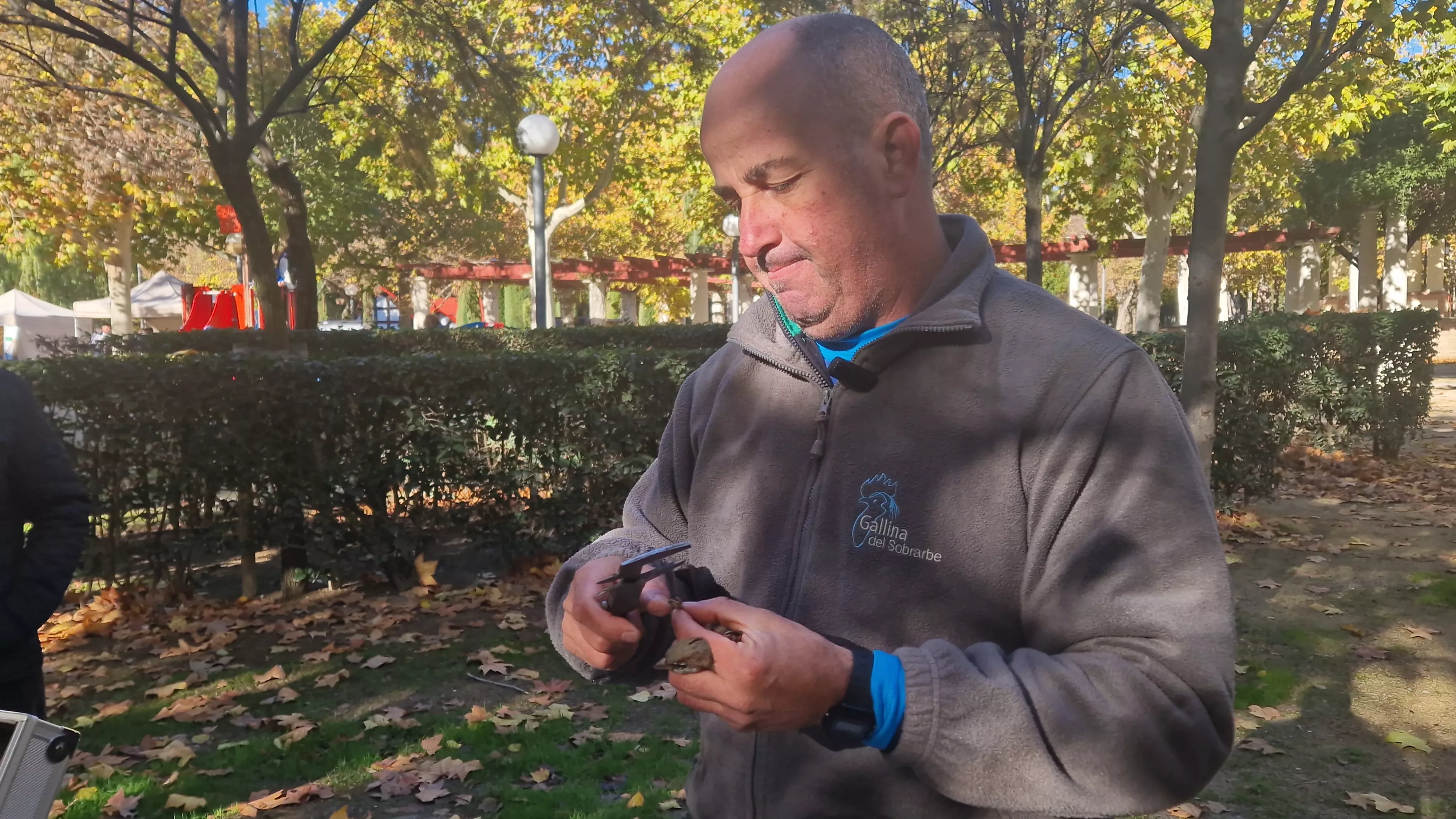 Primer anillamiento de aves en el Parque Miguel Servet de Huesca. Foto Myriam Martínez
