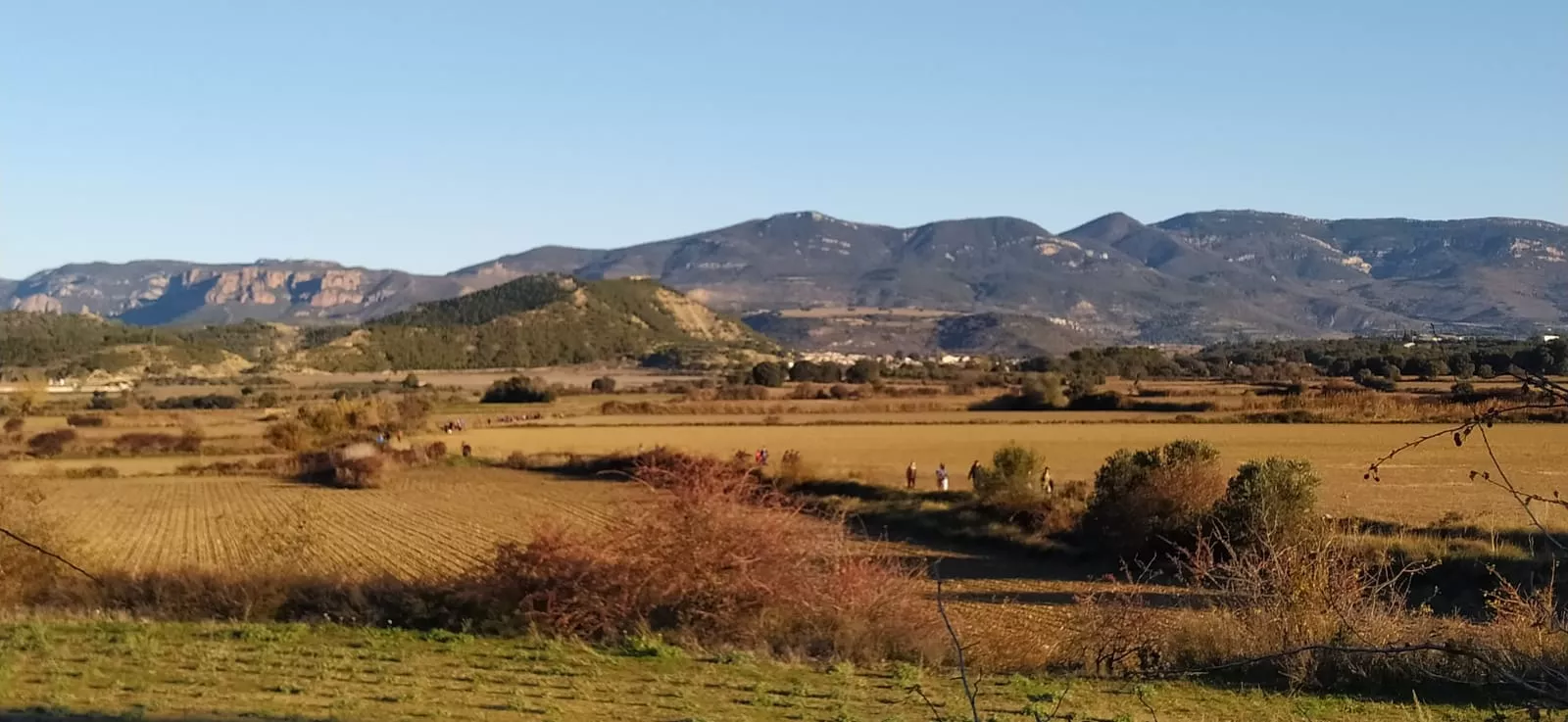 Recorrido de los participantes en la Ruta de las Ermitas de Ayerbe. Foto Alejandro Salcedo