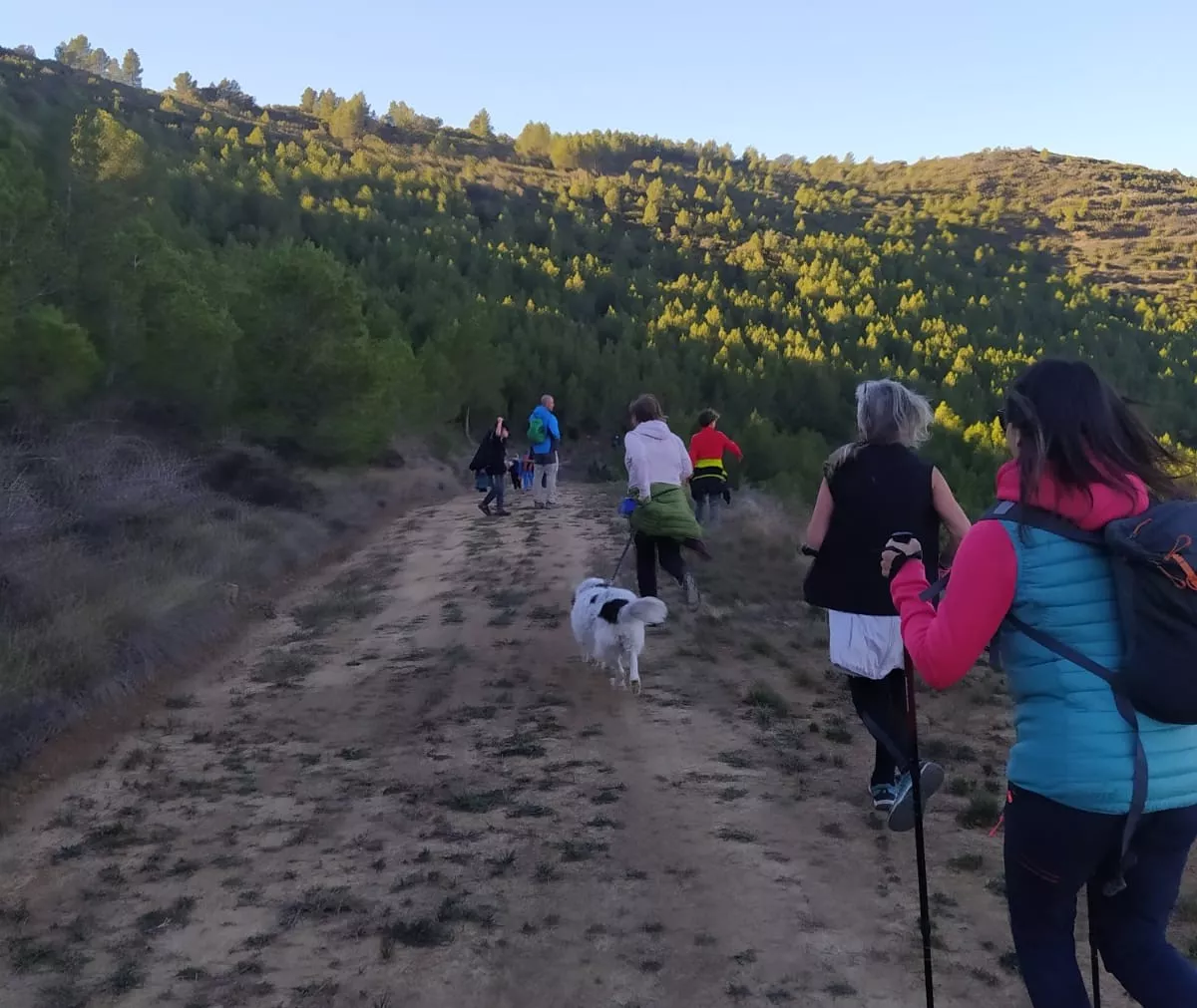 Recorrido de los participantes en la Ruta de las Ermitas de Ayerbe. Foto Alejandro Salcedo
