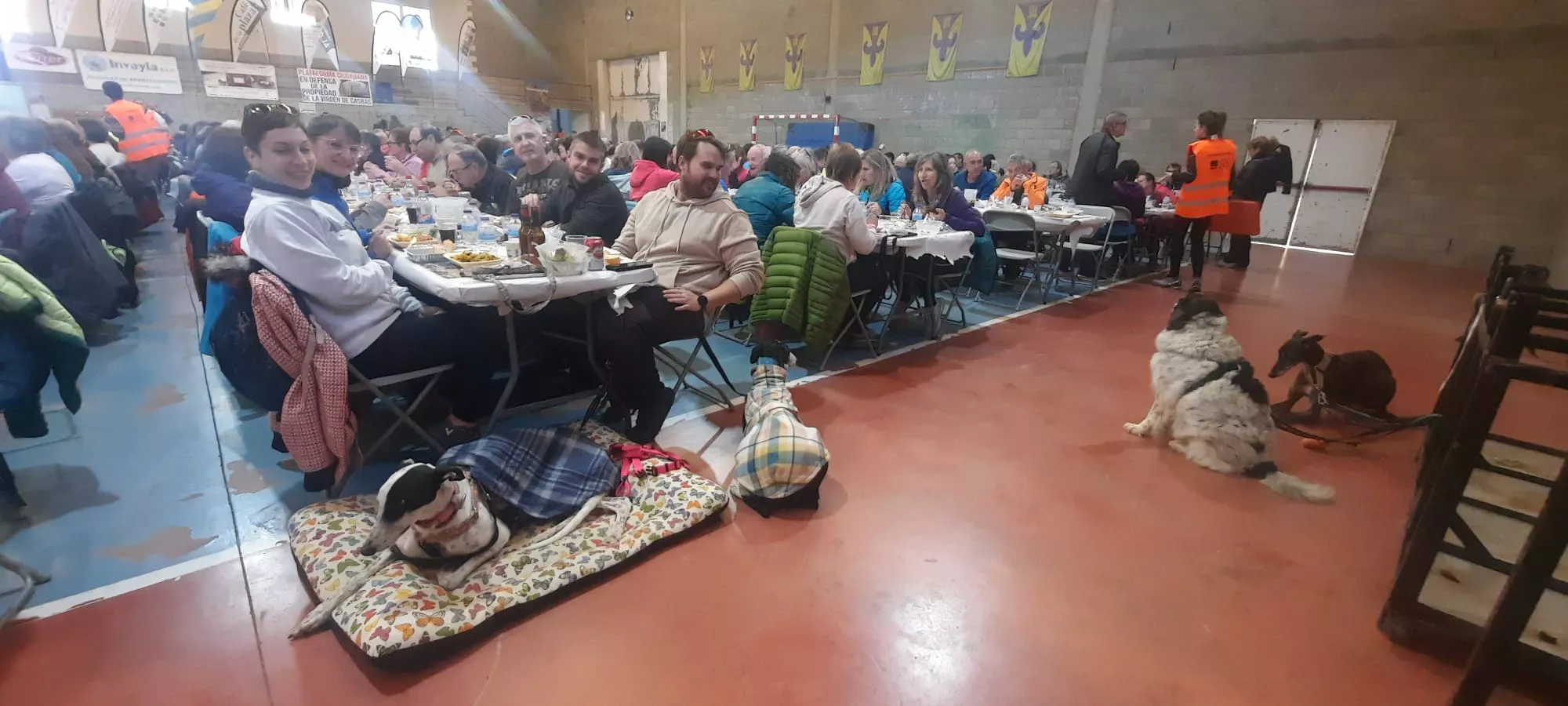 Participantes en la Ruta de las Ermitas de Ayerbe durante la comida tras la caminata. Foto: Alejandro Salcedo