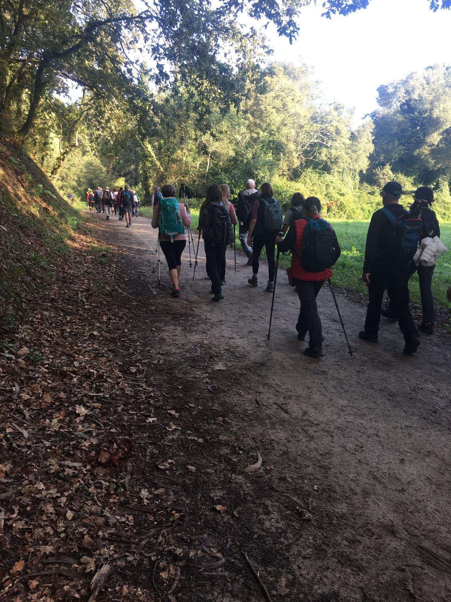 Recorrido del Camino de Santiago por la Asociación de Amigos de Huesca