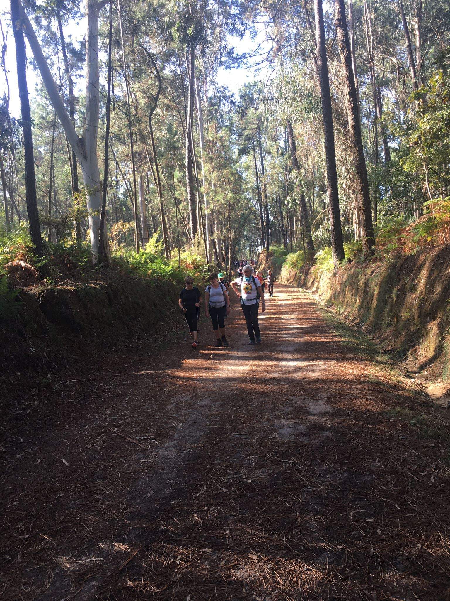 Recorrido del Camino de Santiago por la Asociación de Amigos de Huesca