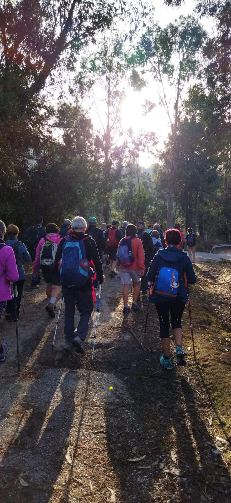 Recorrido del Camino de Santiago por la Asociación de Amigos de Huesca