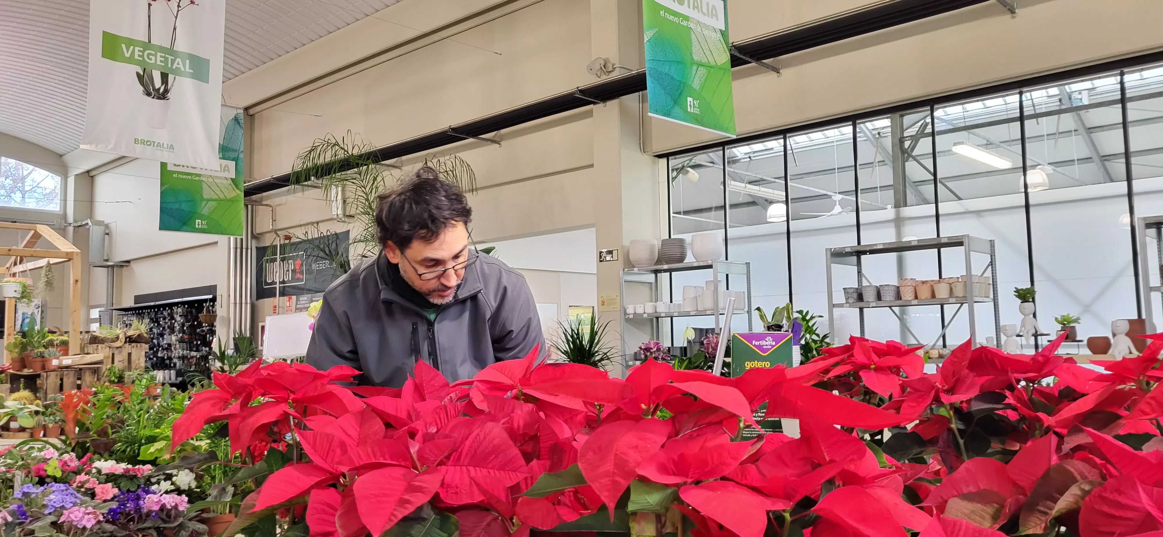 Antonio junto a las flores de Pascua. Foto: Mercedes Manterola
