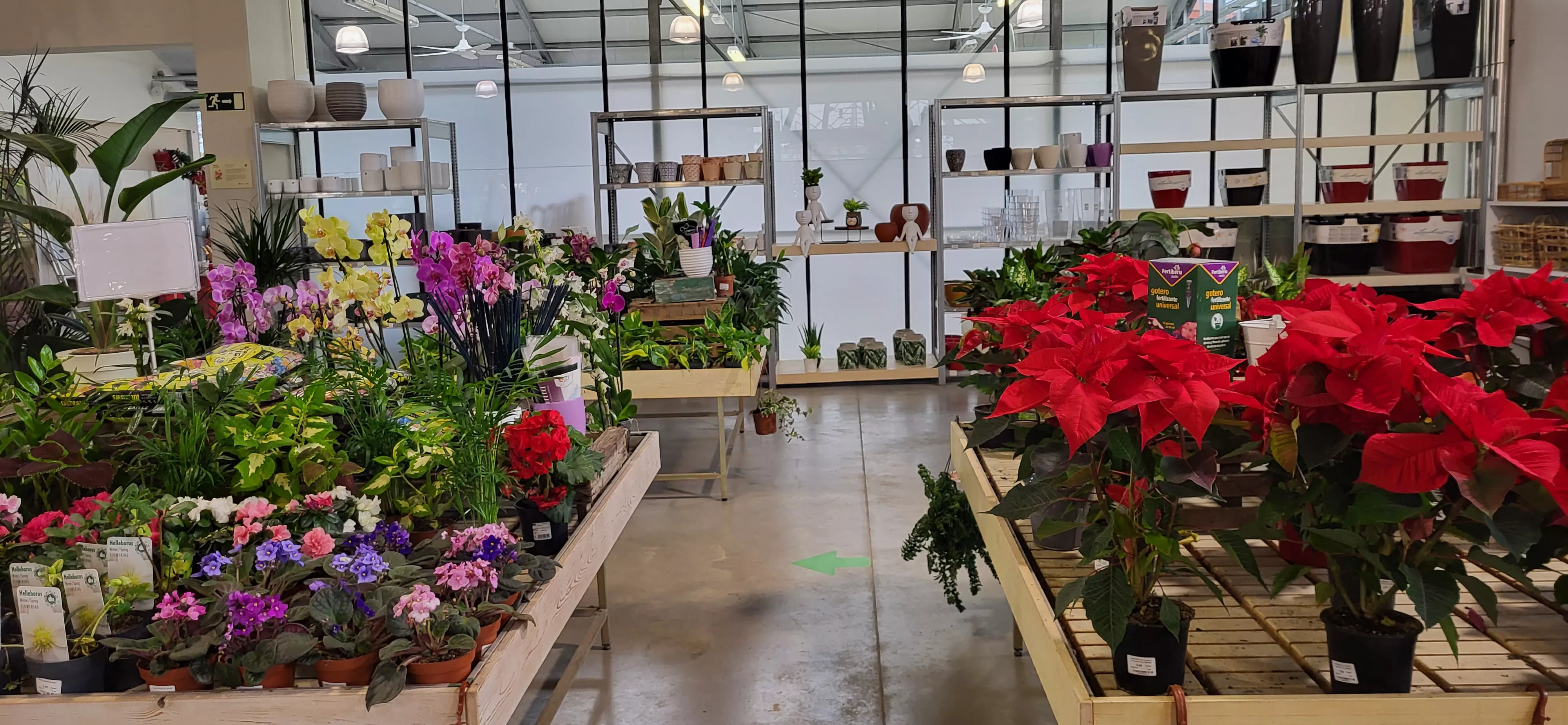 Imagen de Brotalia. Foto Mercedes Manterola