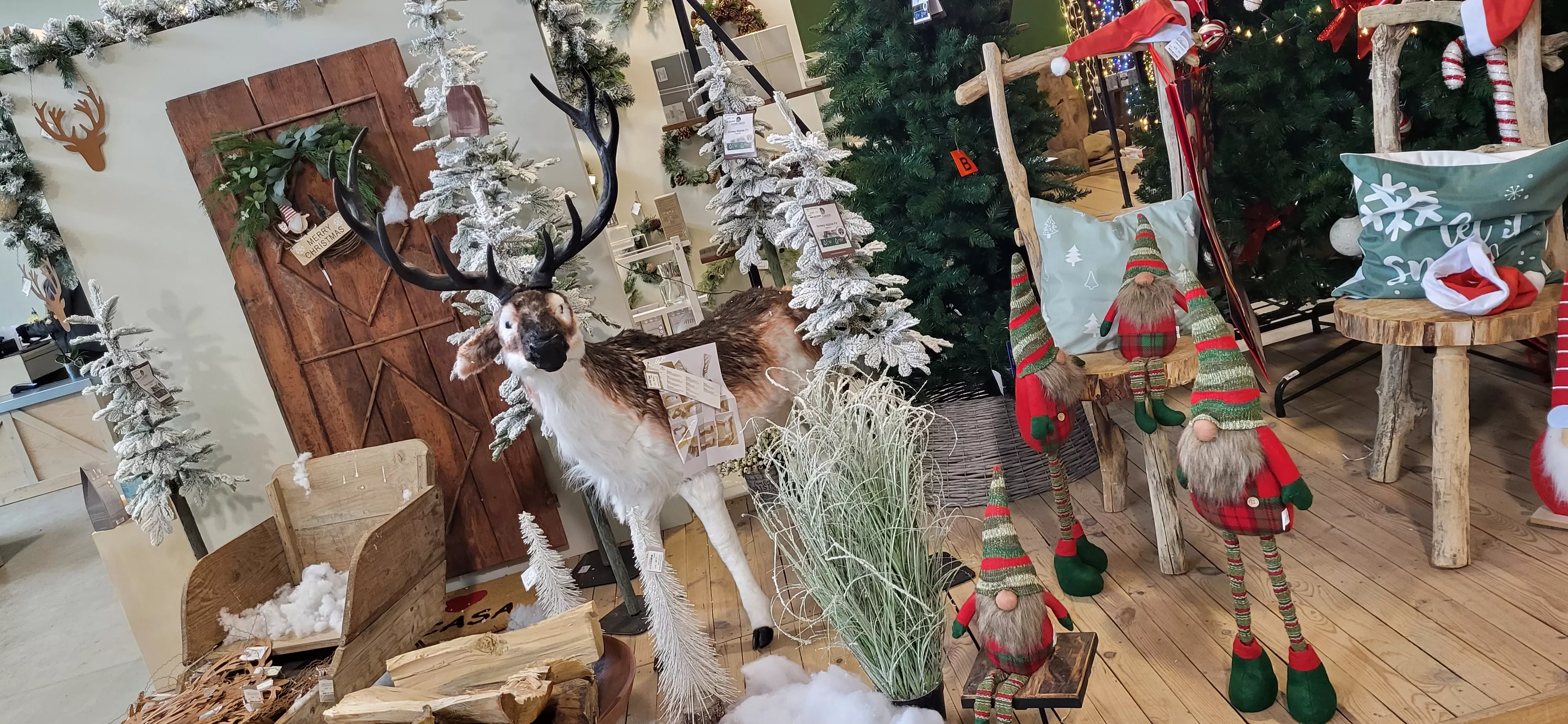 El ambiente navideño se ha apoderado de Brotalia. Foto Mercedes Manterola