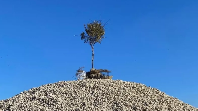 Los dos jóvenes realizaban la caza ilegal en la ermita de las Mártires. Los dos jóvenes realizaban la caza ilegal en la ermita de las Mártires.