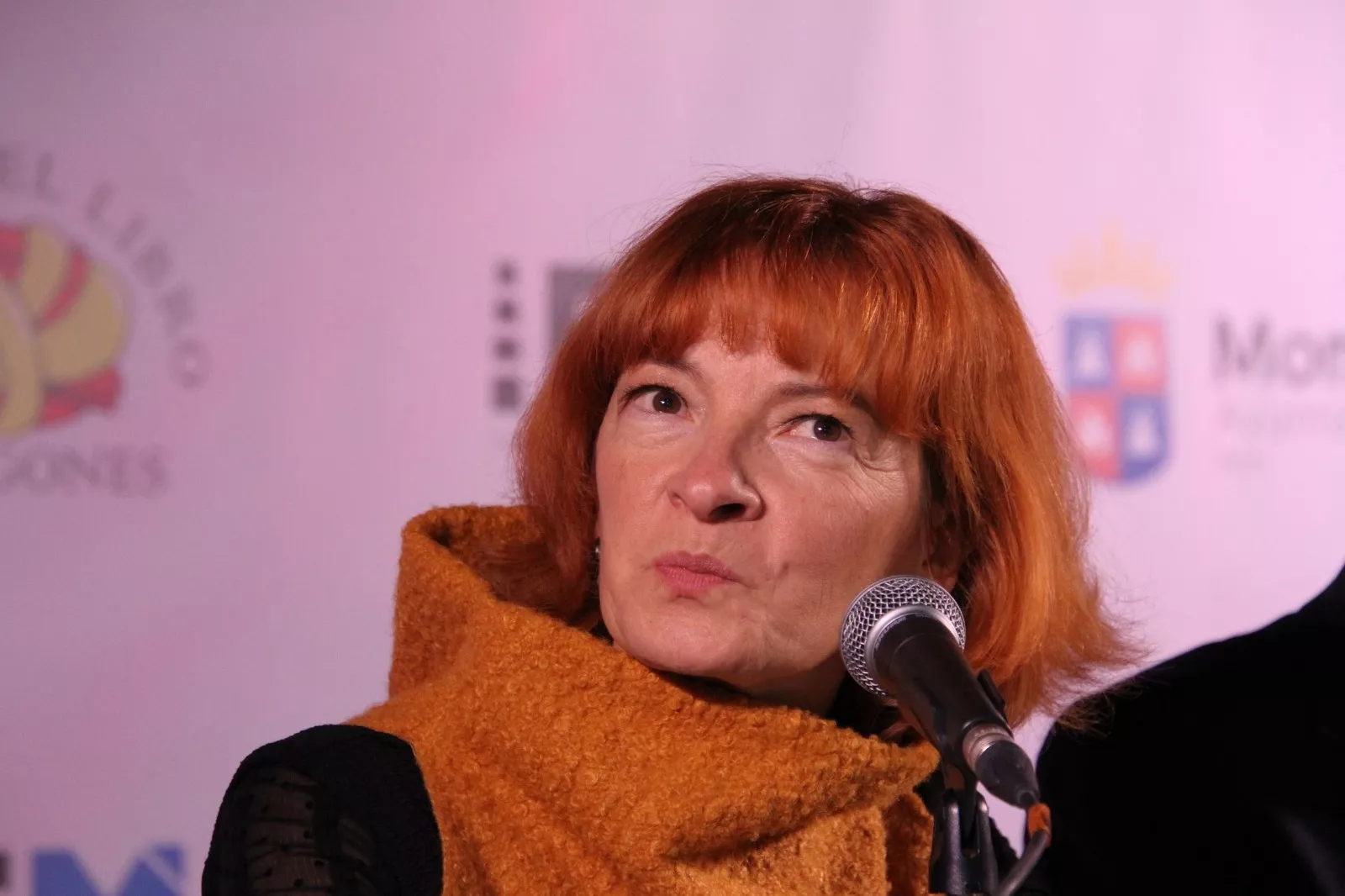 Celebración de la Feria del Libro Aragonés en Monzón. Foto Carlos Neofato