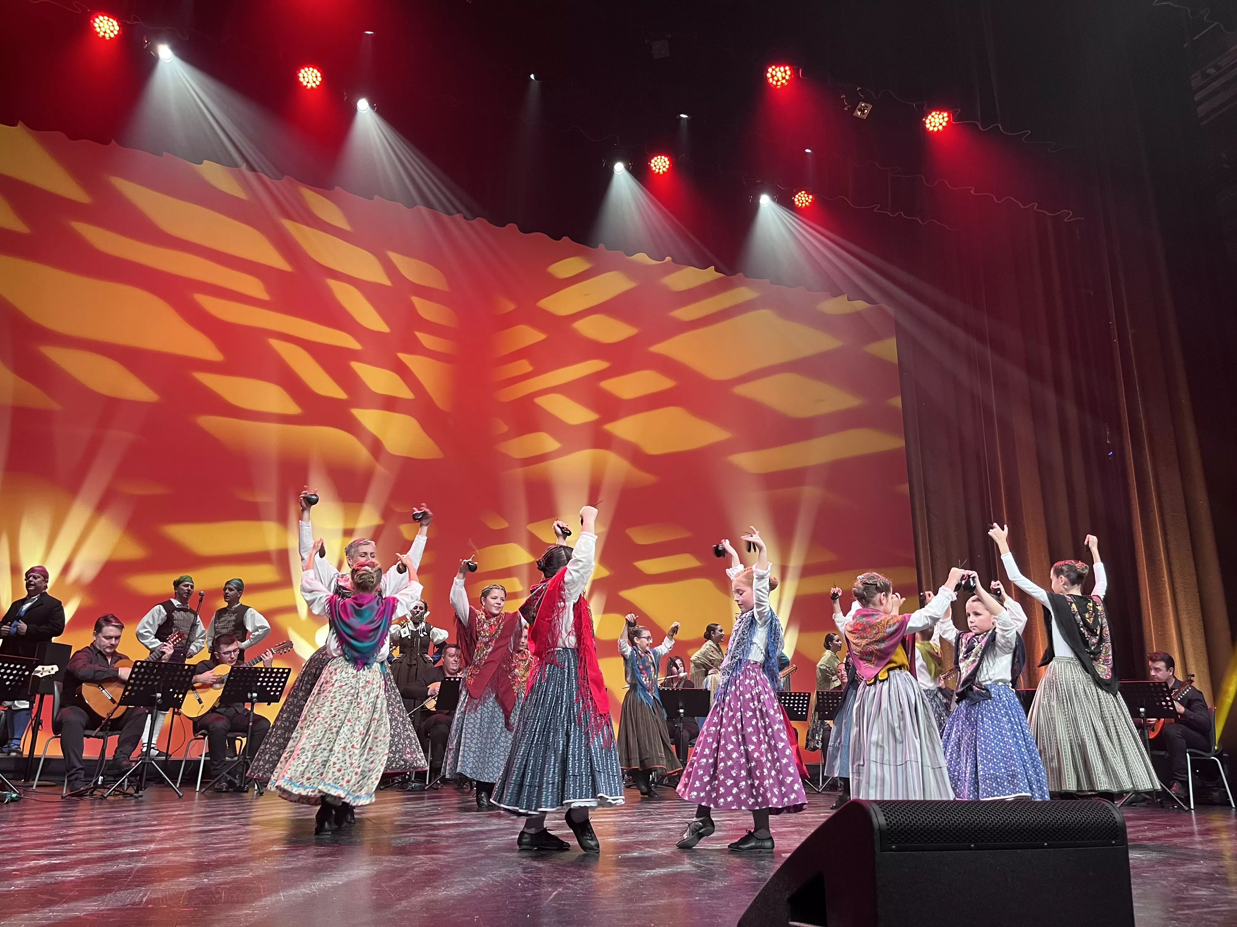  IX Gala de Jota de Roberto Ciria por Aspanoa. Foto Mercedes Manterola