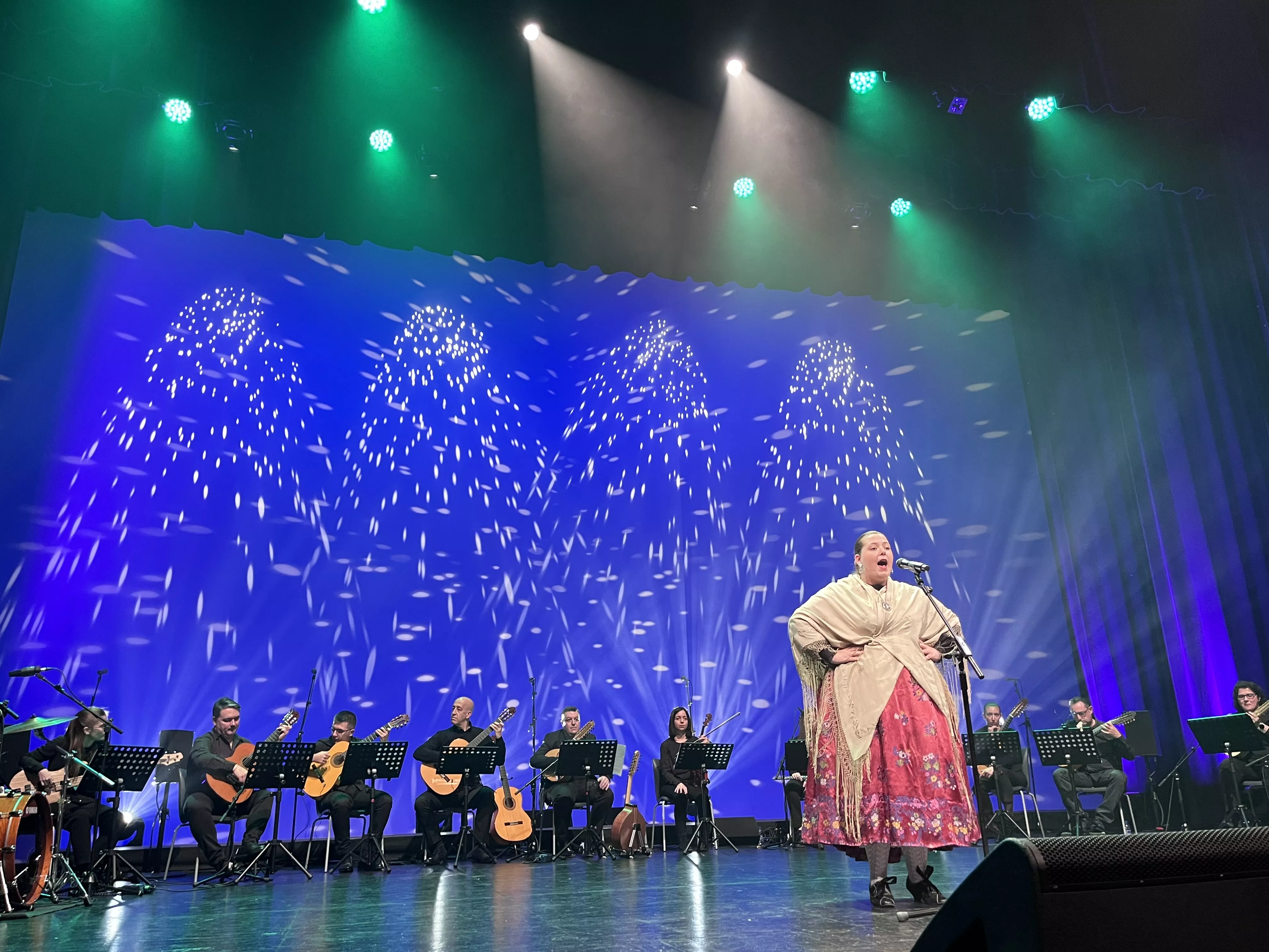  IX Gala de Jota de Roberto Ciria por Aspanoa. Foto Mercedes Manterola