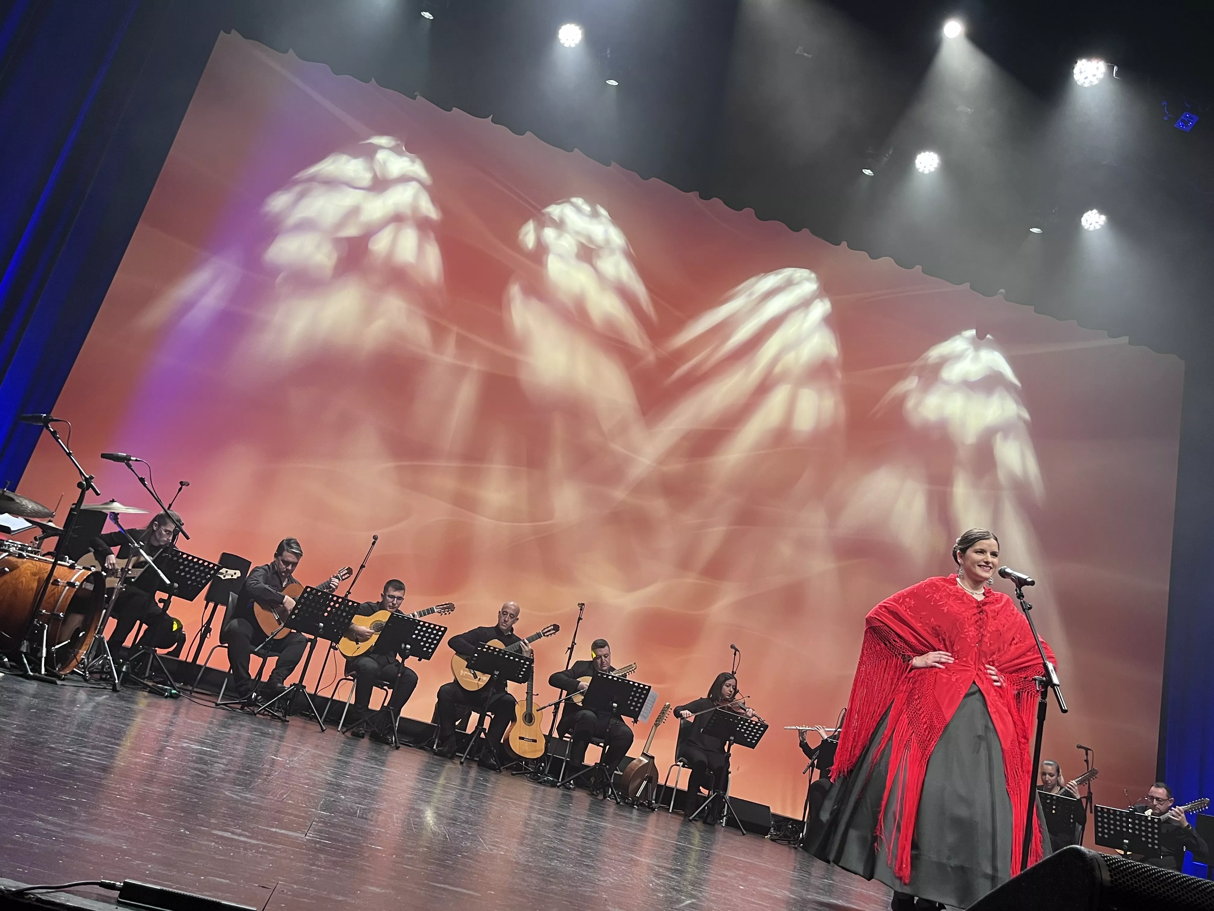  IX Gala de Jota de Roberto Ciria por Aspanoa. Foto Mercedes Manterola