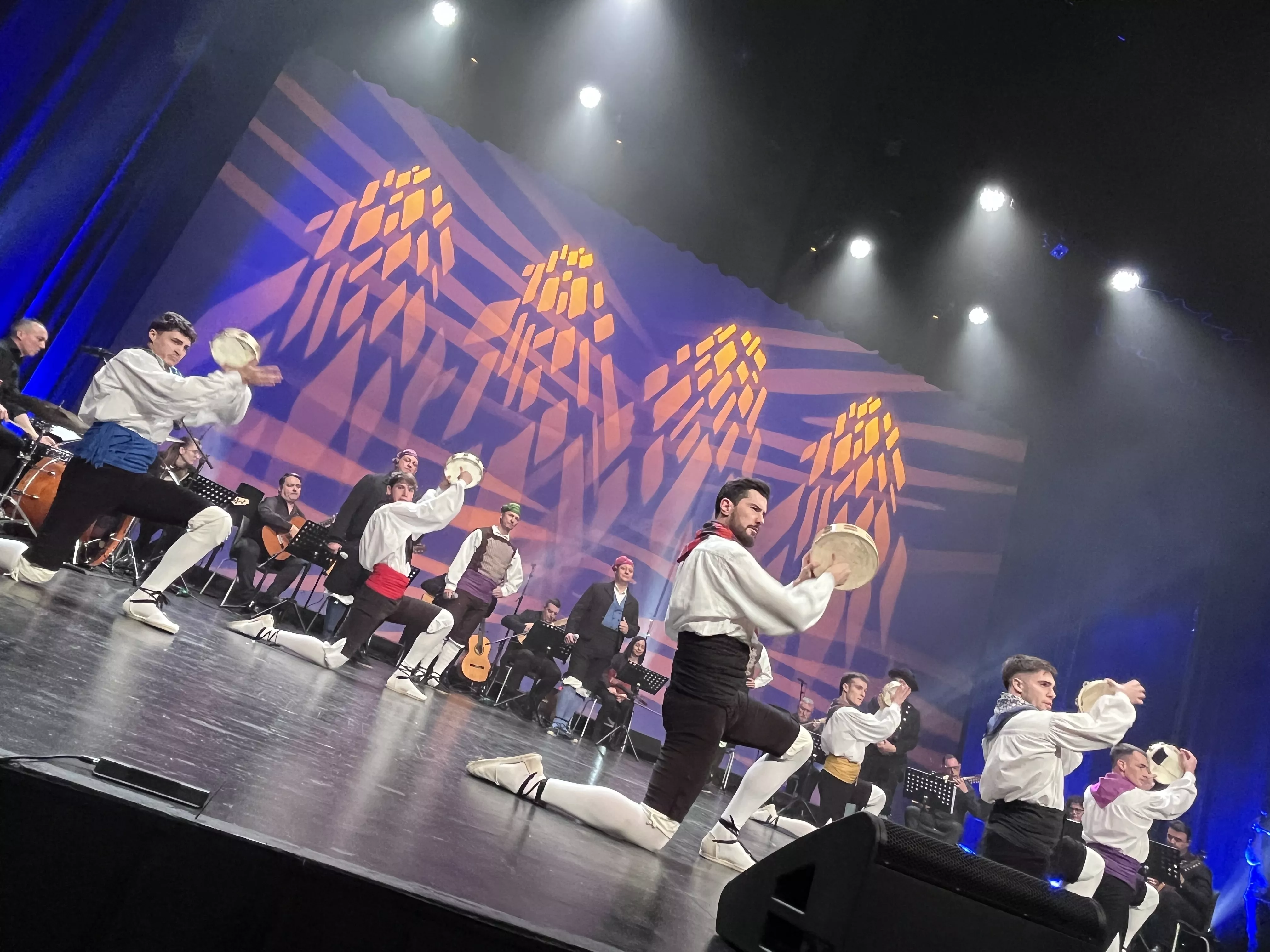  IX Gala de Jota de Roberto Ciria por Aspanoa. Foto Mercedes Manterola