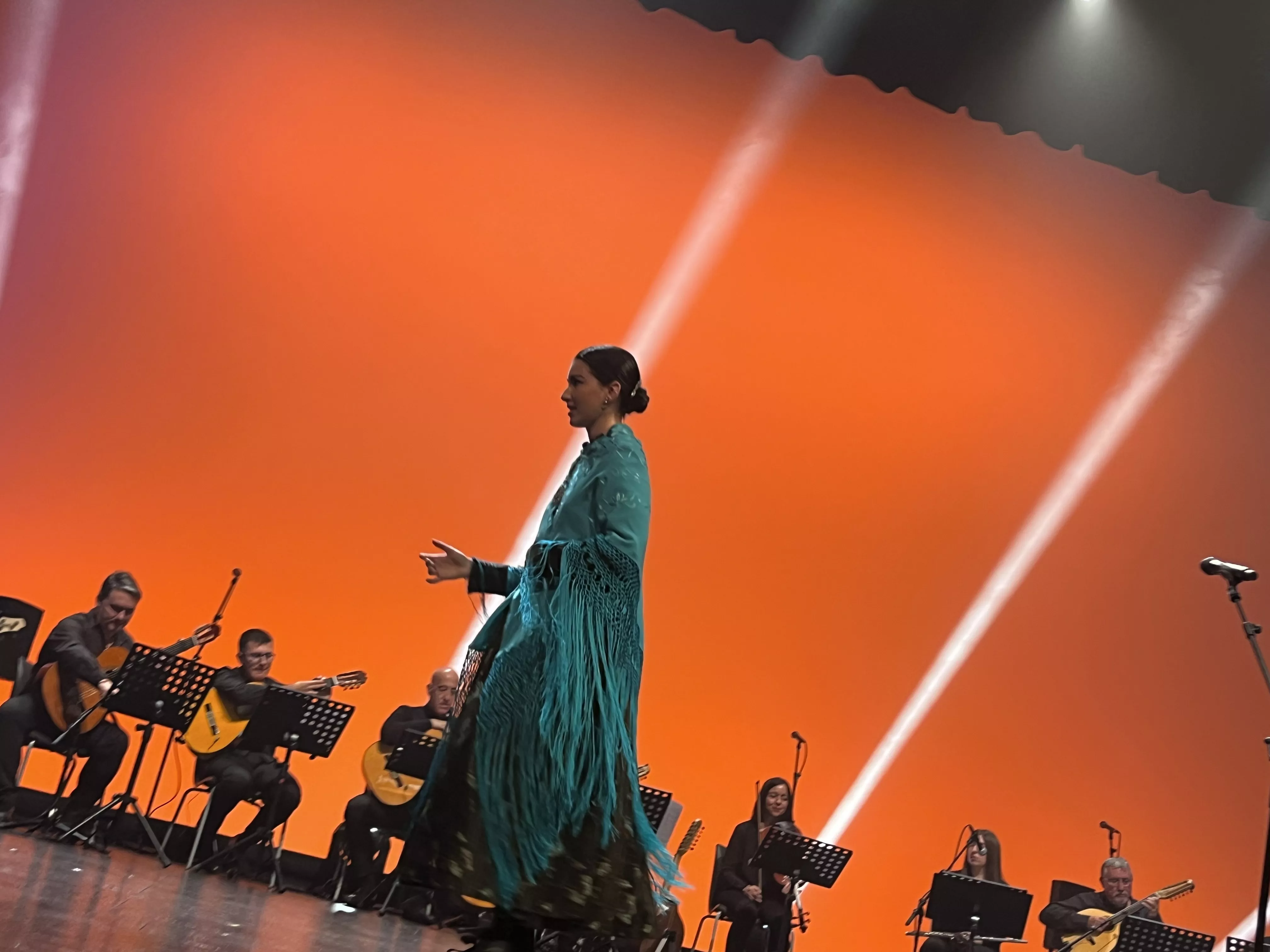  IX Gala de Jota de Roberto Ciria por Aspanoa. Foto Mercedes Manterola