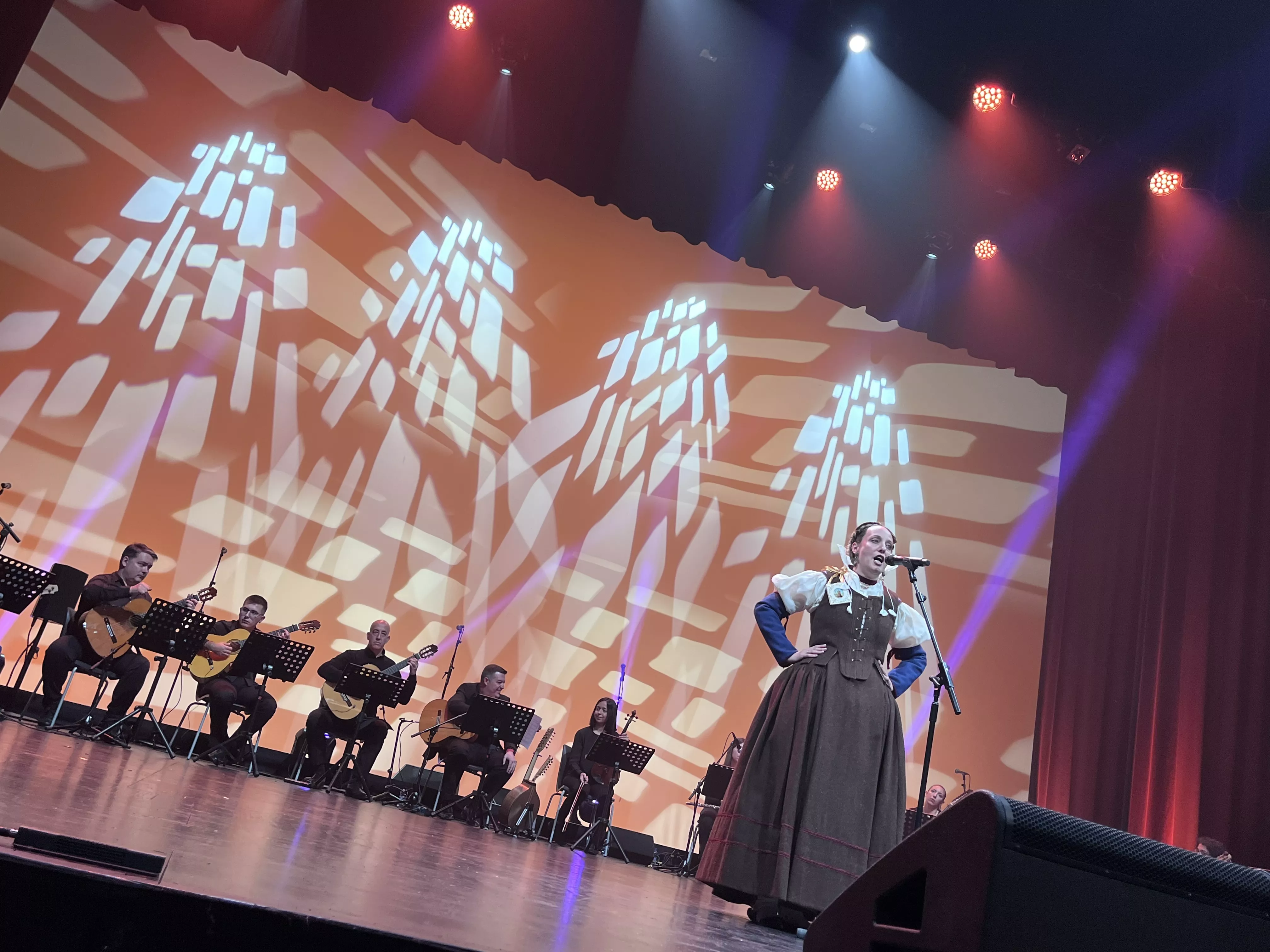  IX Gala de Jota de Roberto Ciria por Aspanoa. Foto Mercedes Manterola