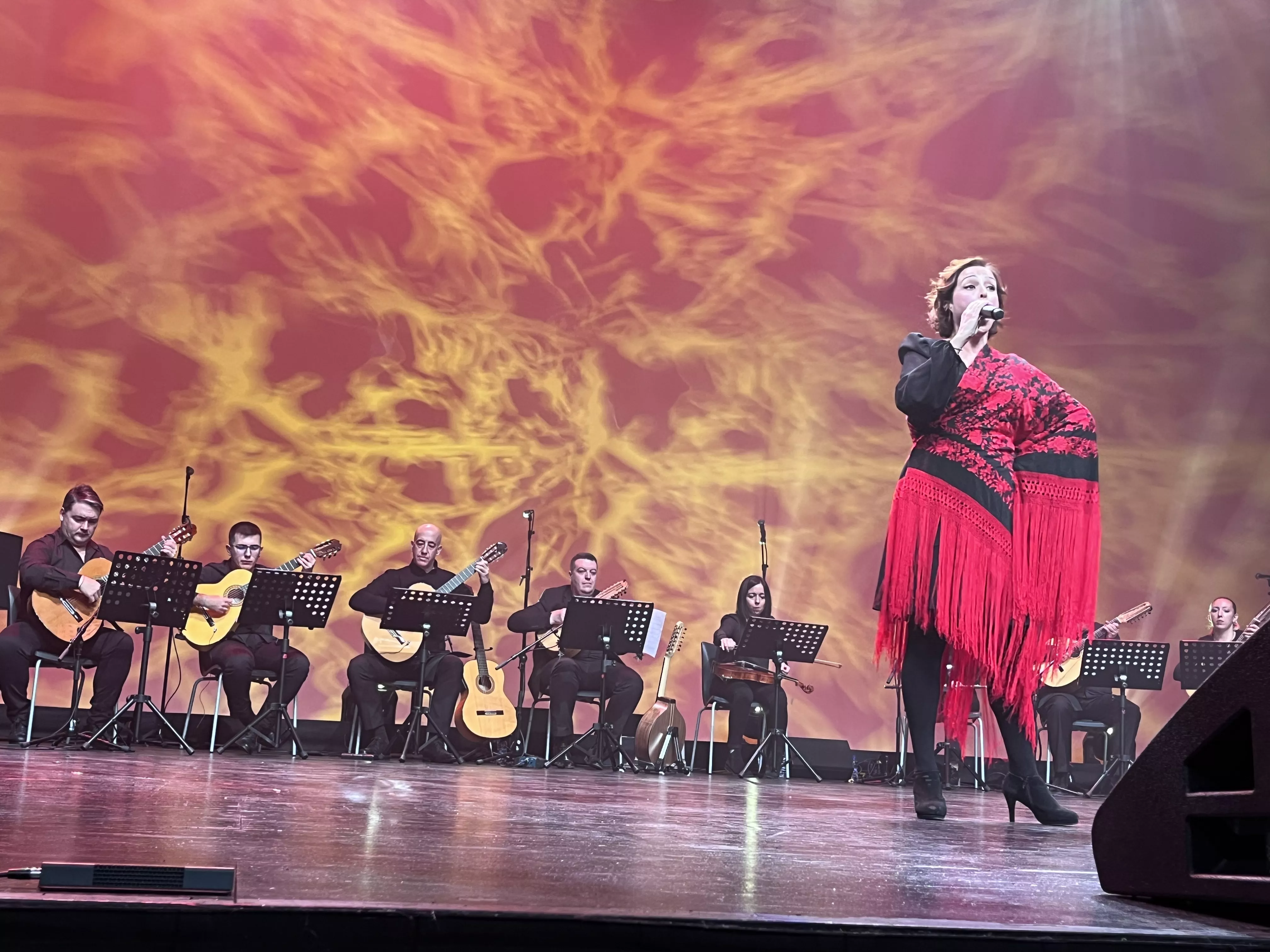  IX Gala de Jota de Roberto Ciria por Aspanoa. Foto Mercedes Manterola