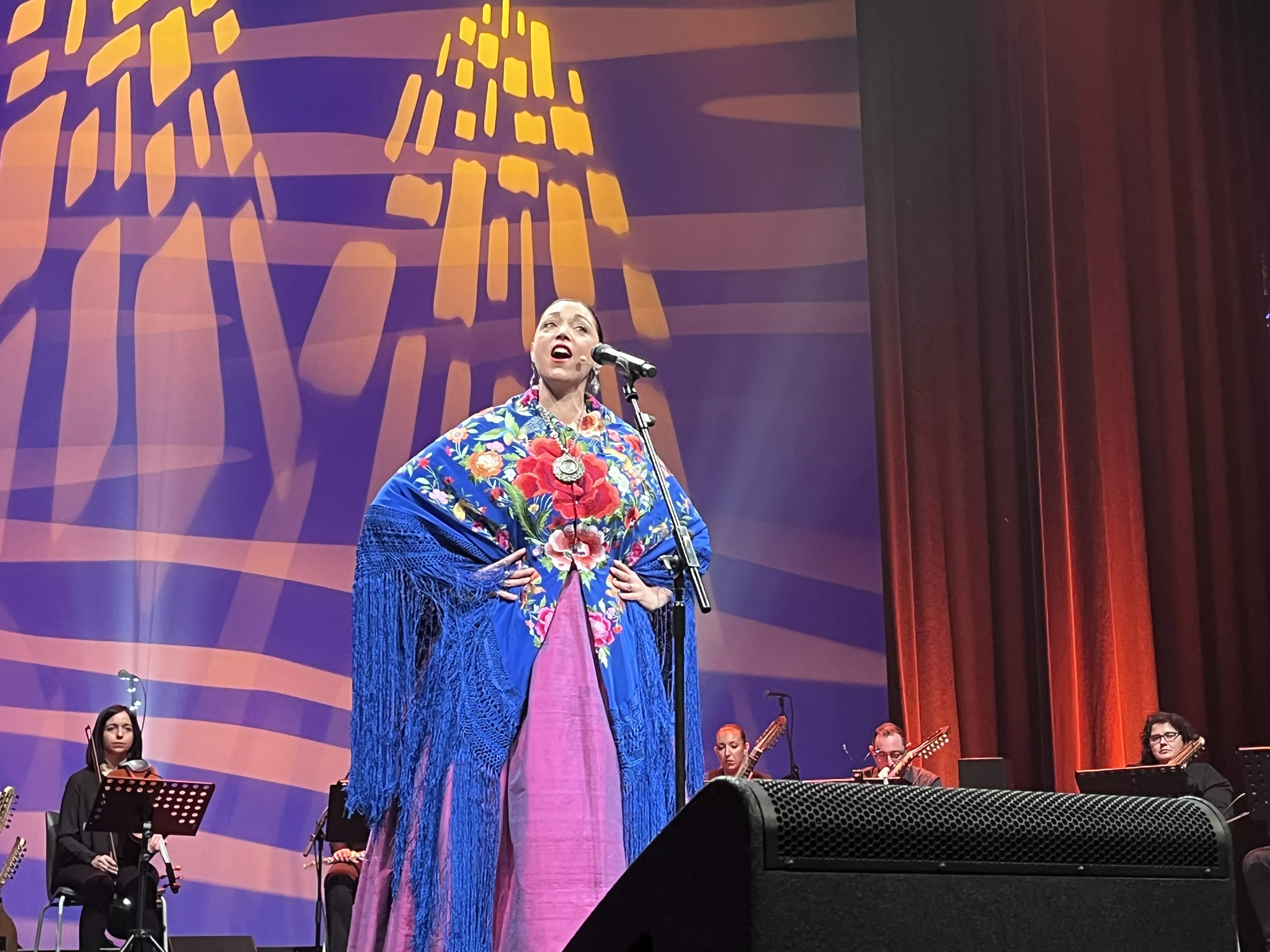  IX Gala de Jota de Roberto Ciria por Aspanoa. Foto Mercedes Manterola