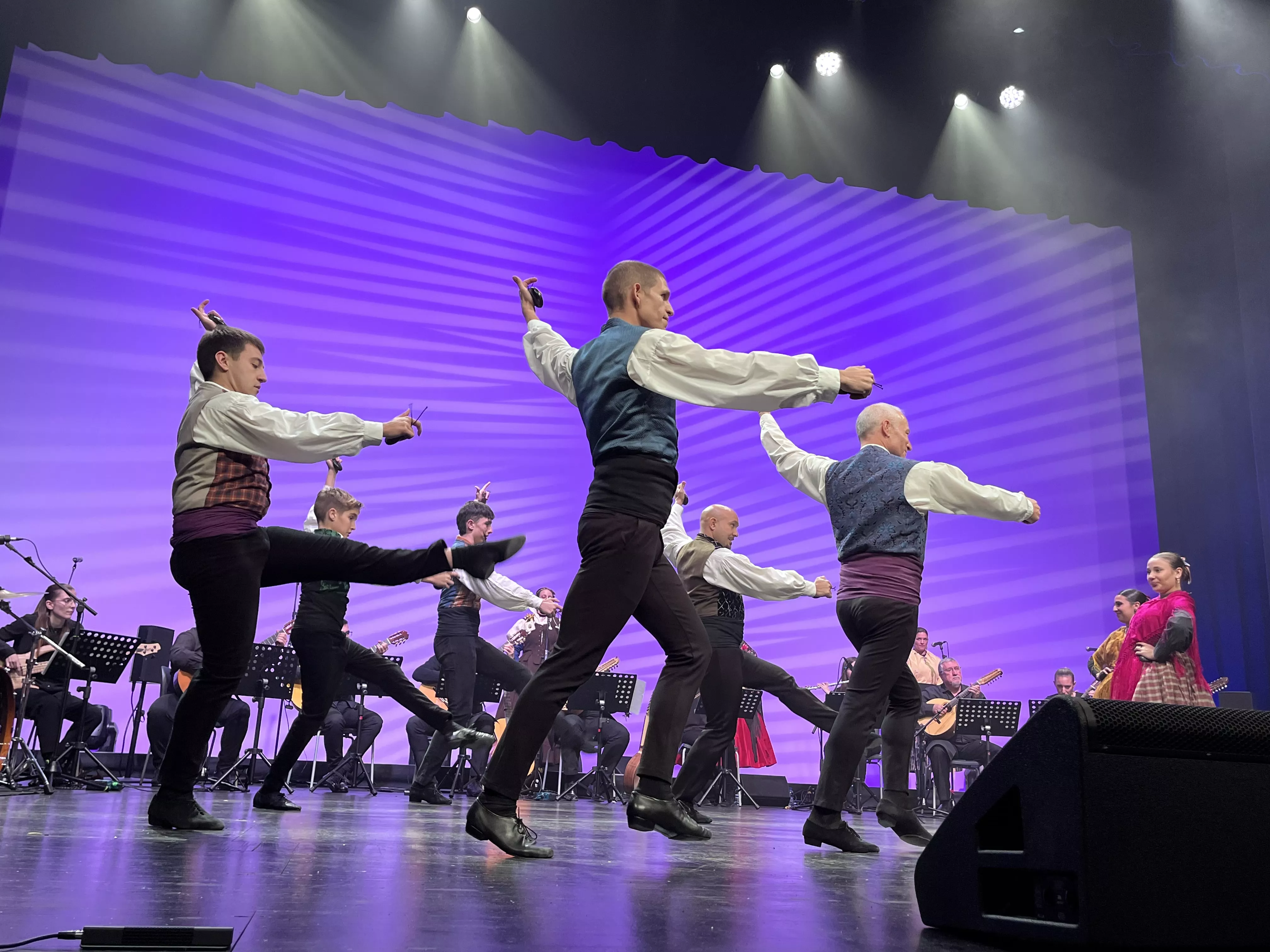  IX Gala de Jota de Roberto Ciria por Aspanoa. Foto Mercedes Manterola