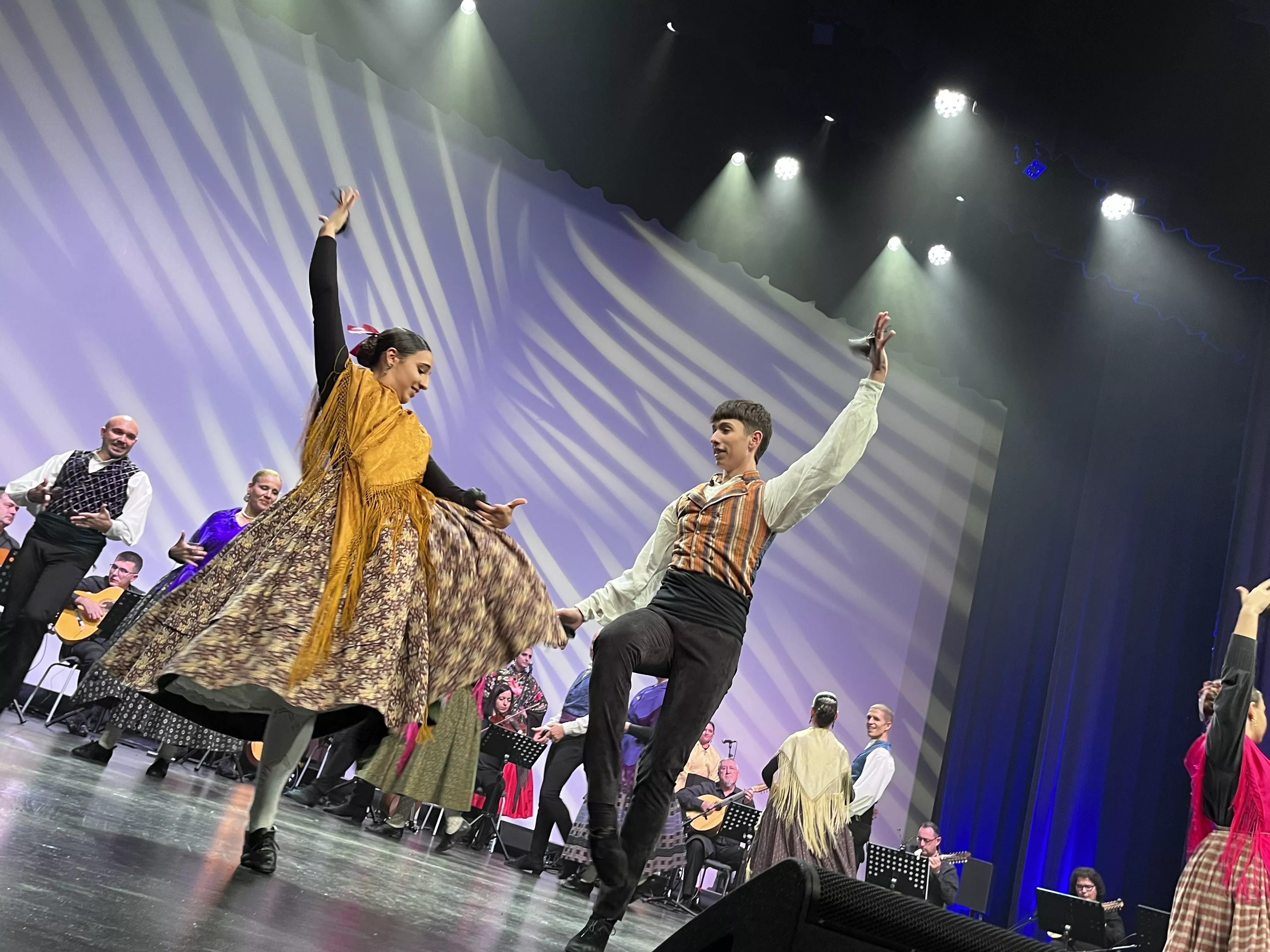  IX Gala de Jota de Roberto Ciria por Aspanoa. Foto Mercedes Manterola