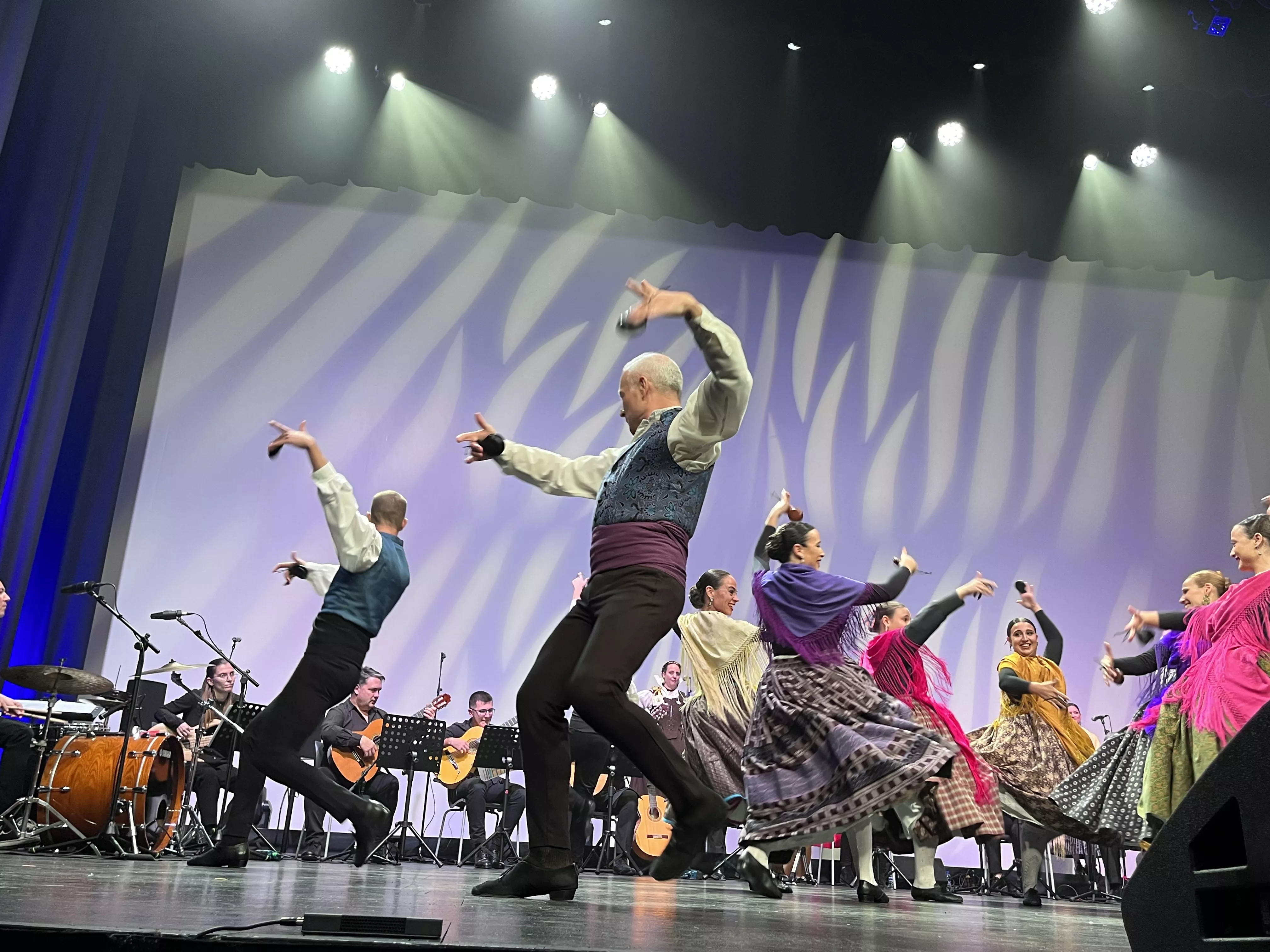  IX Gala de Jota de Roberto Ciria por Aspanoa. Foto Mercedes Manterola