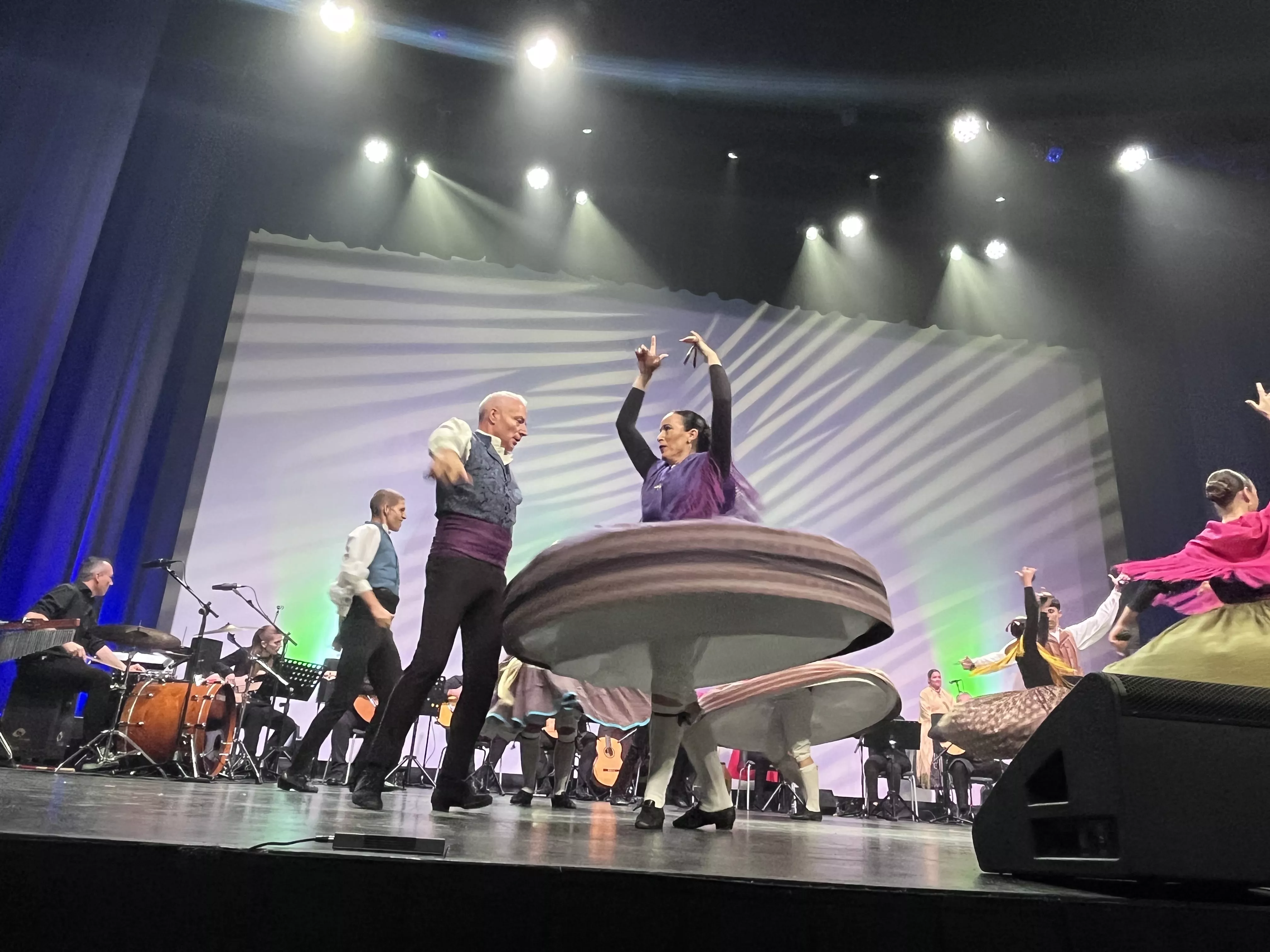  IX Gala de Jota de Roberto Ciria por Aspanoa. Foto Mercedes Manterola