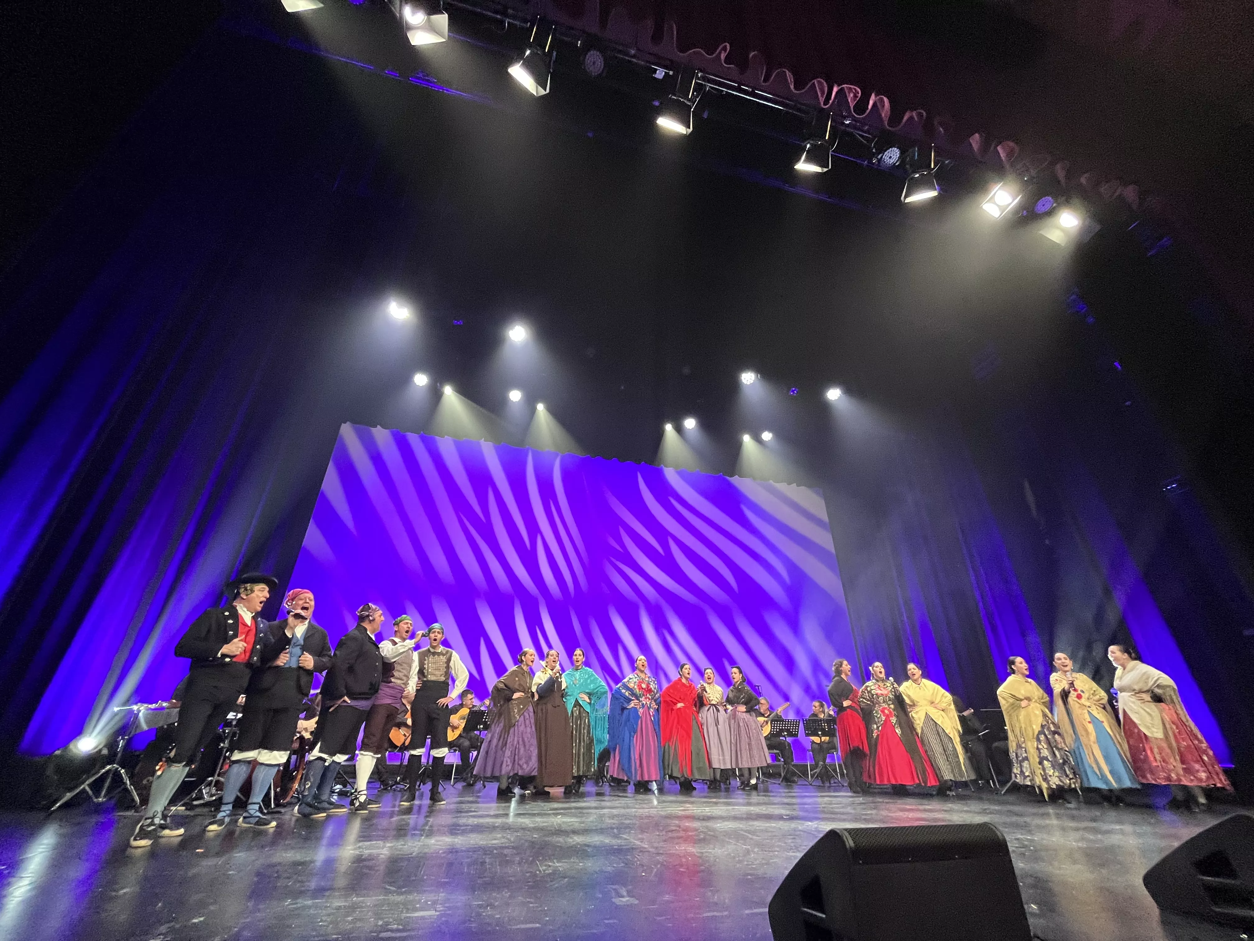  IX Gala de Jota de Roberto Ciria por Aspanoa. Foto Mercedes Manterola