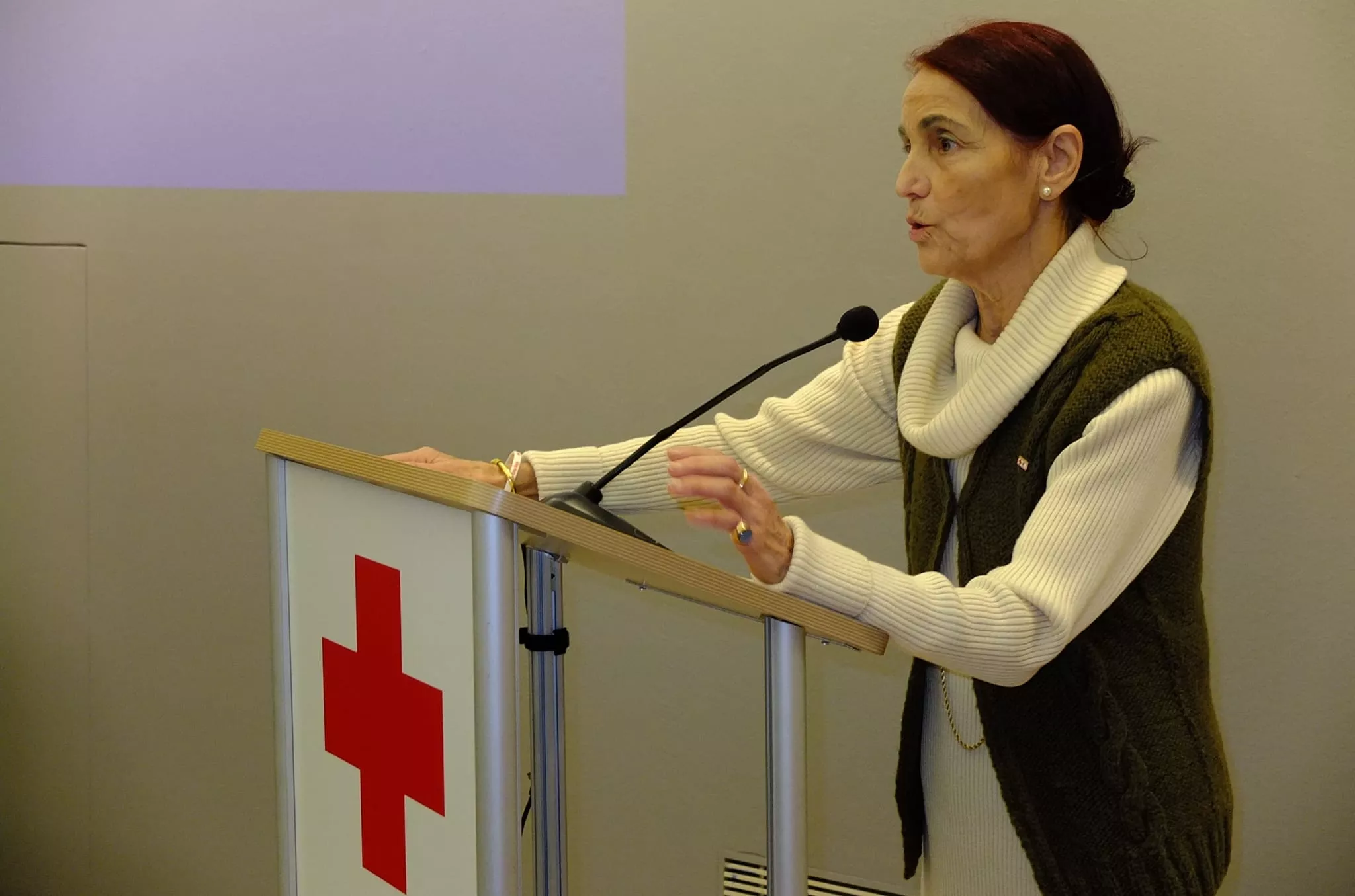 Pilar Cintora, presidenta de Cruz Roja Aragón