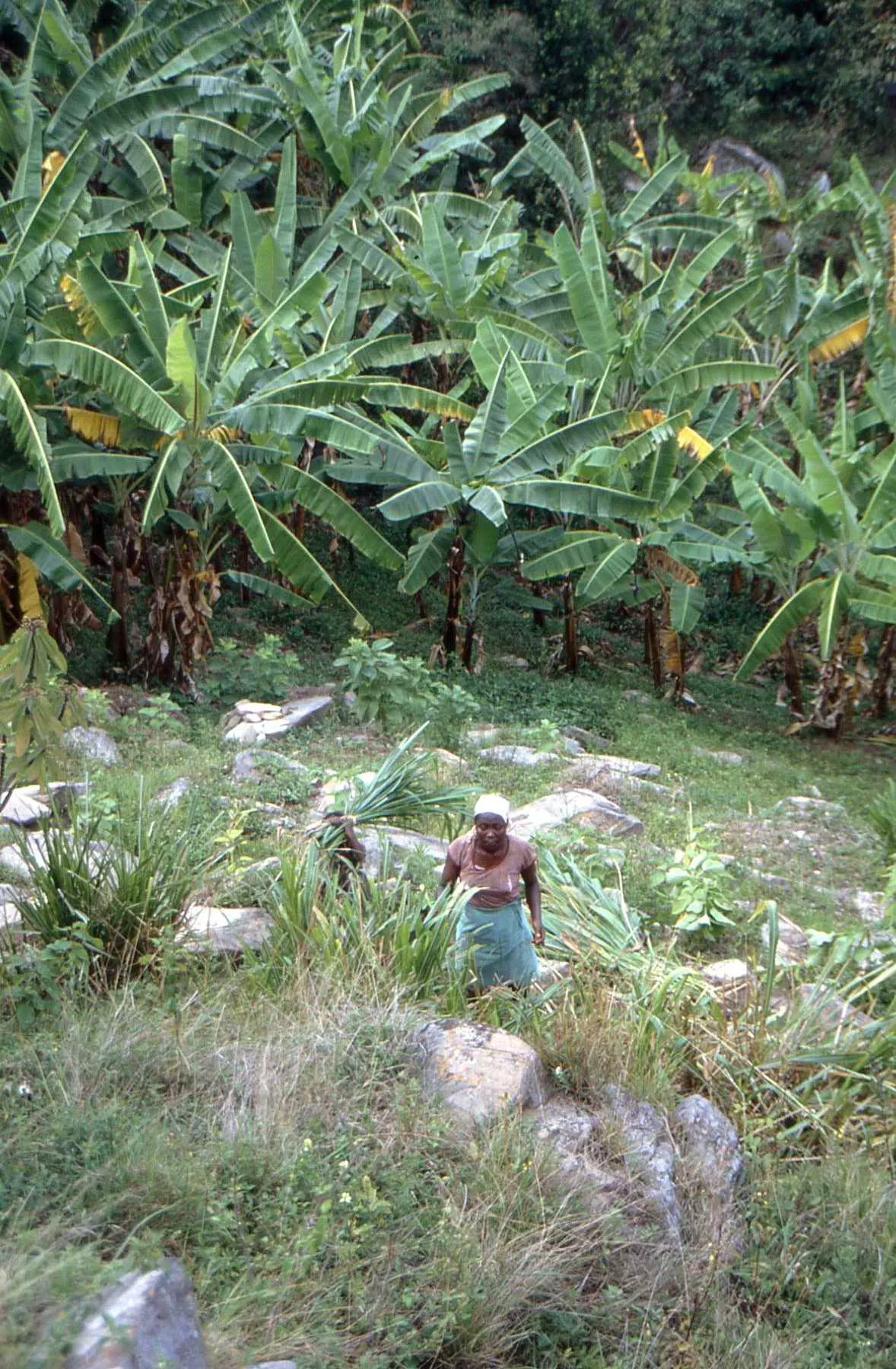 Marco Pascual en Ruanda