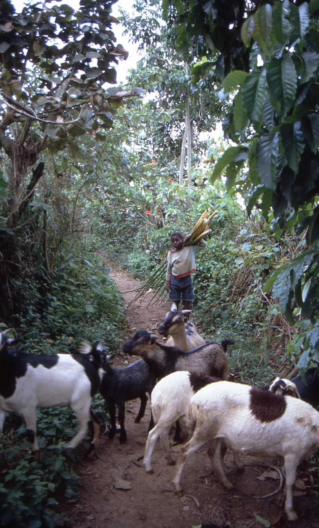 Marco Pascual en Ruanda