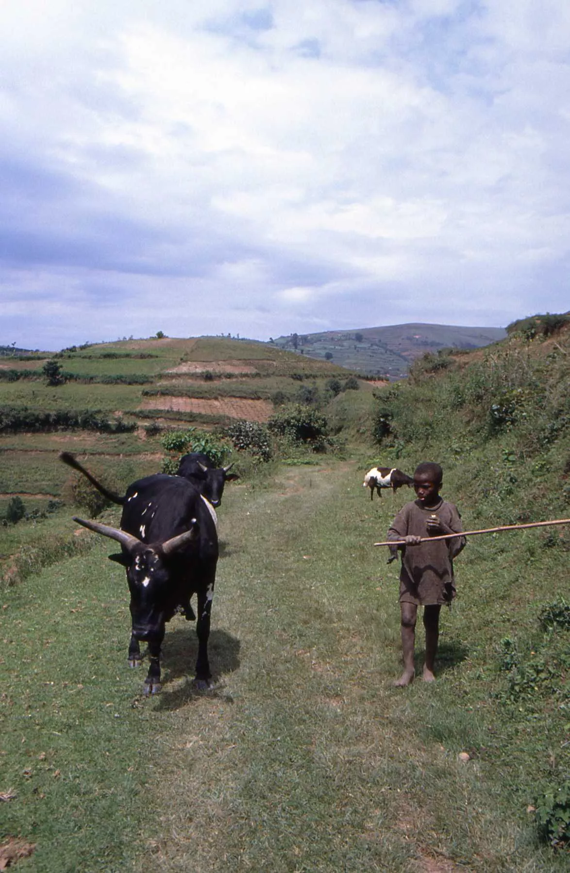 Marco Pascual en Ruanda