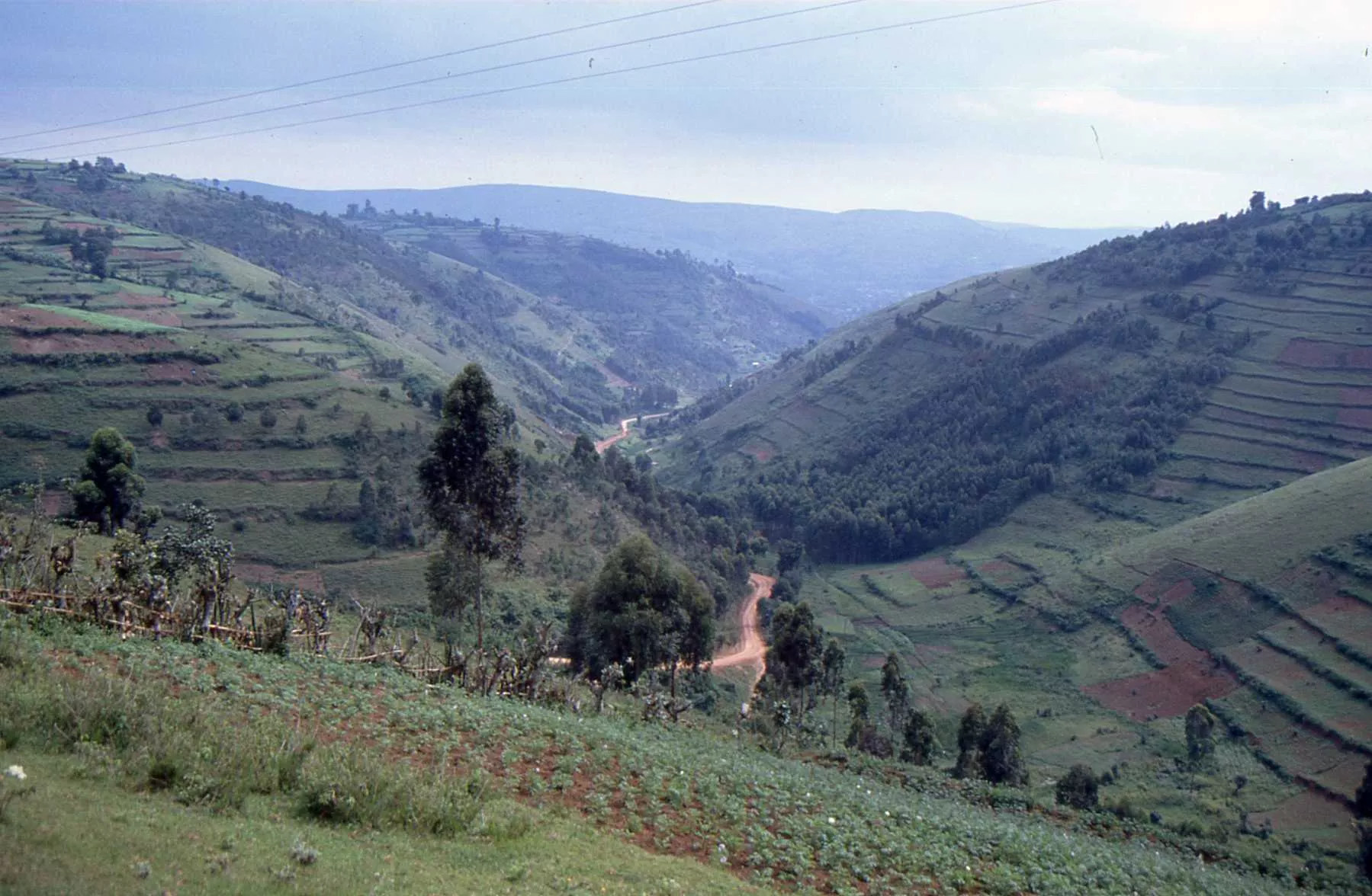 Marco Pascual en Ruanda